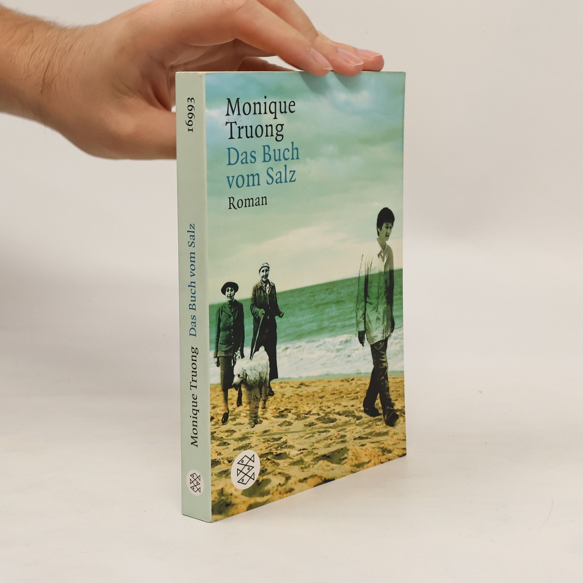 Monique Truong Das Buch vom Salz