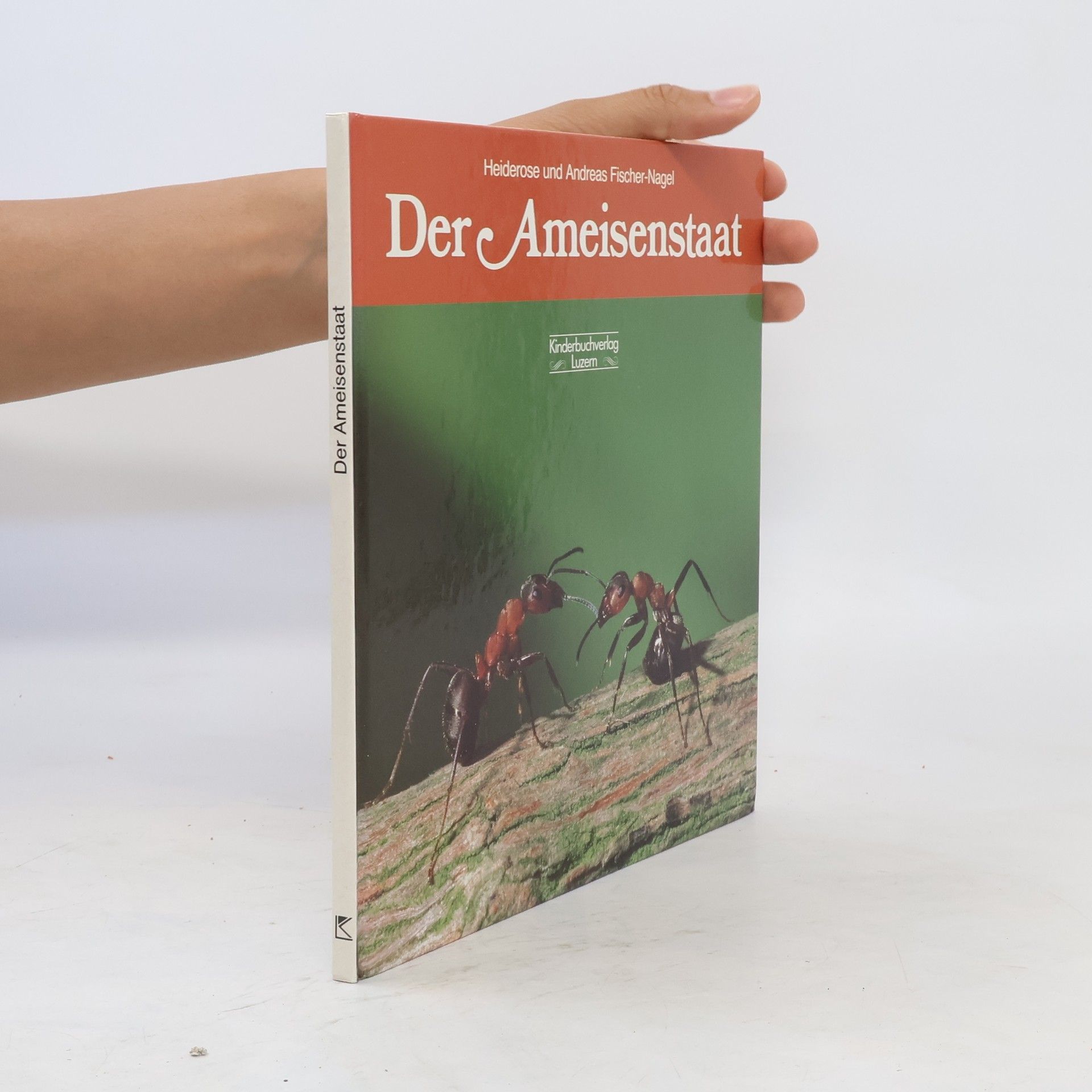Andreas Fischer-Nagel Der Ameisenstaat