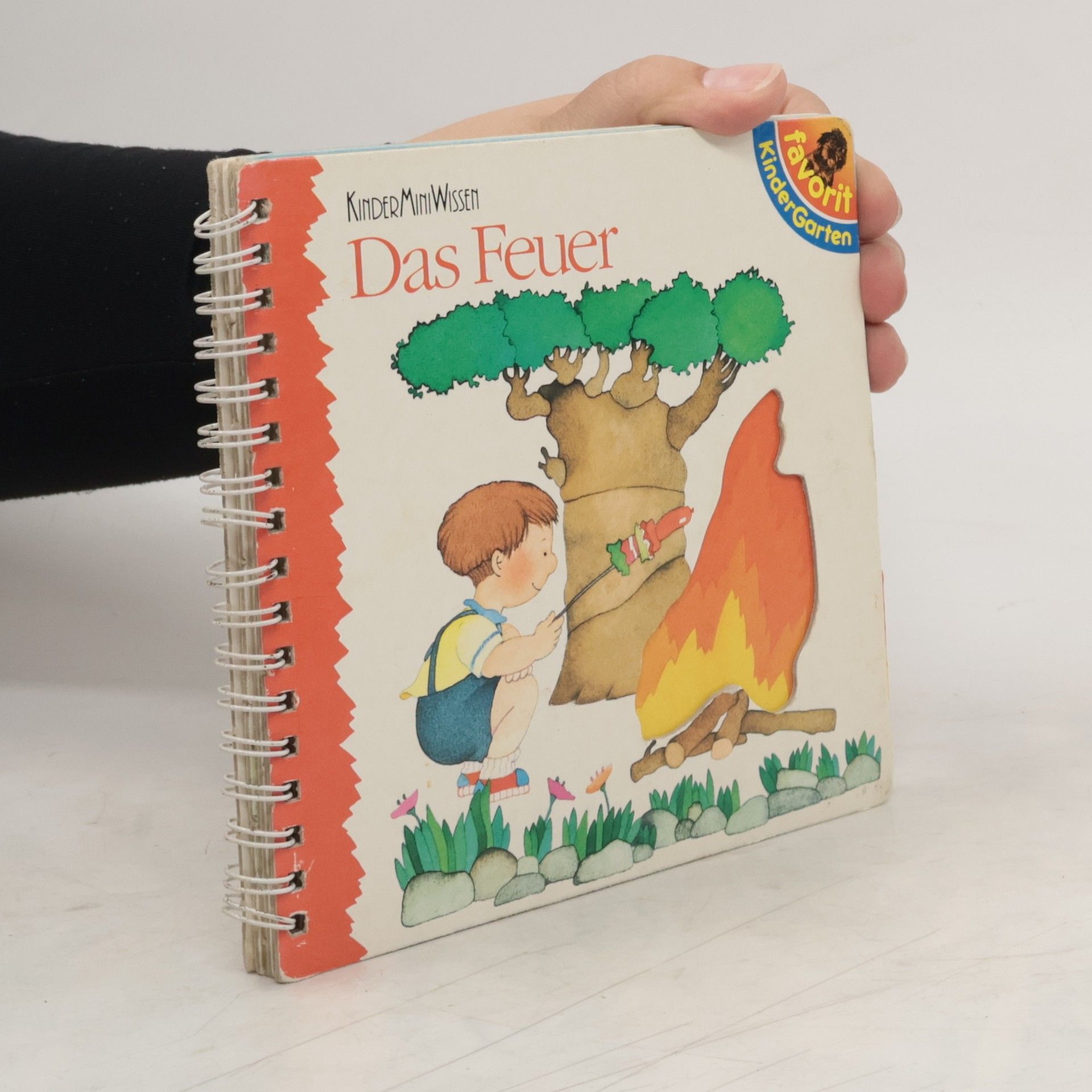 Das Feuer