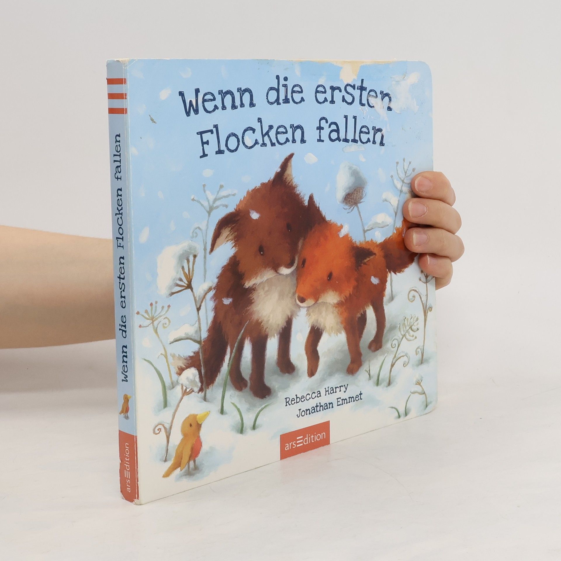 Jonathan Emmett Wenn die ersten Flocken fallen