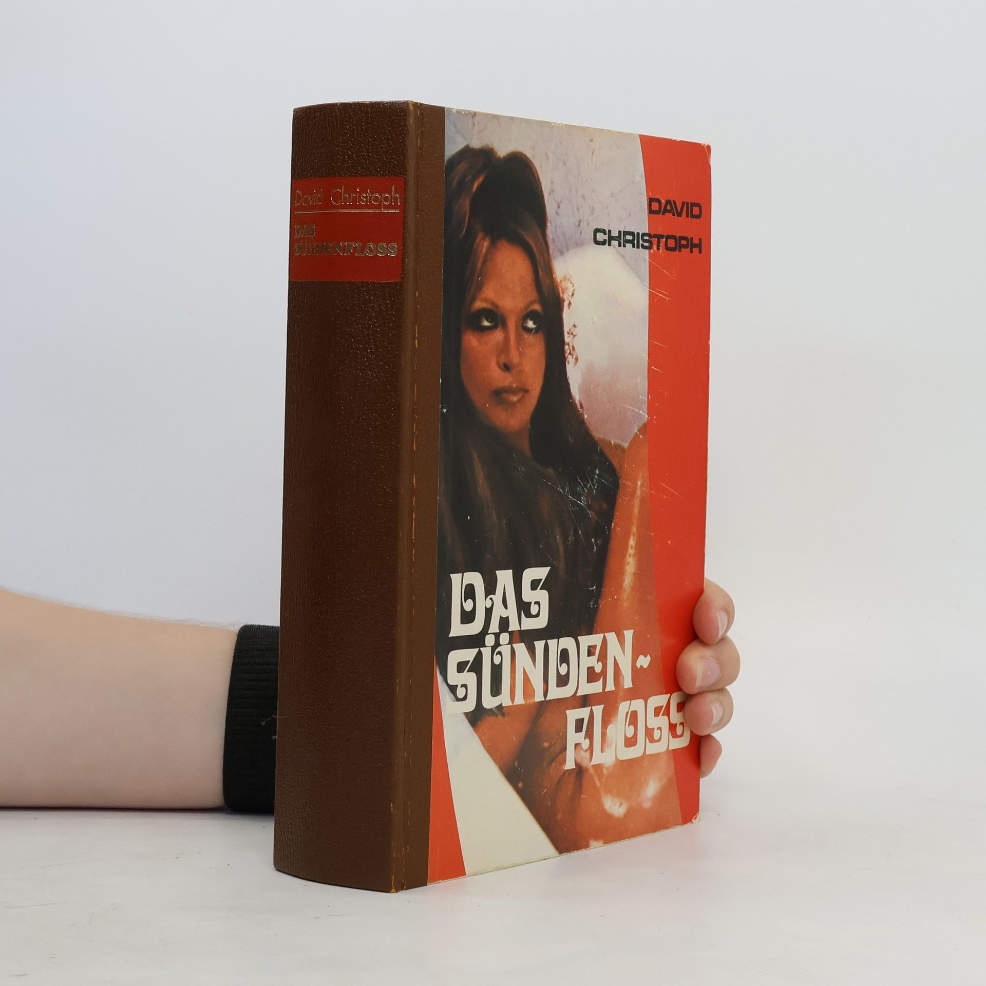 David Christoph Das Sündenfloss
