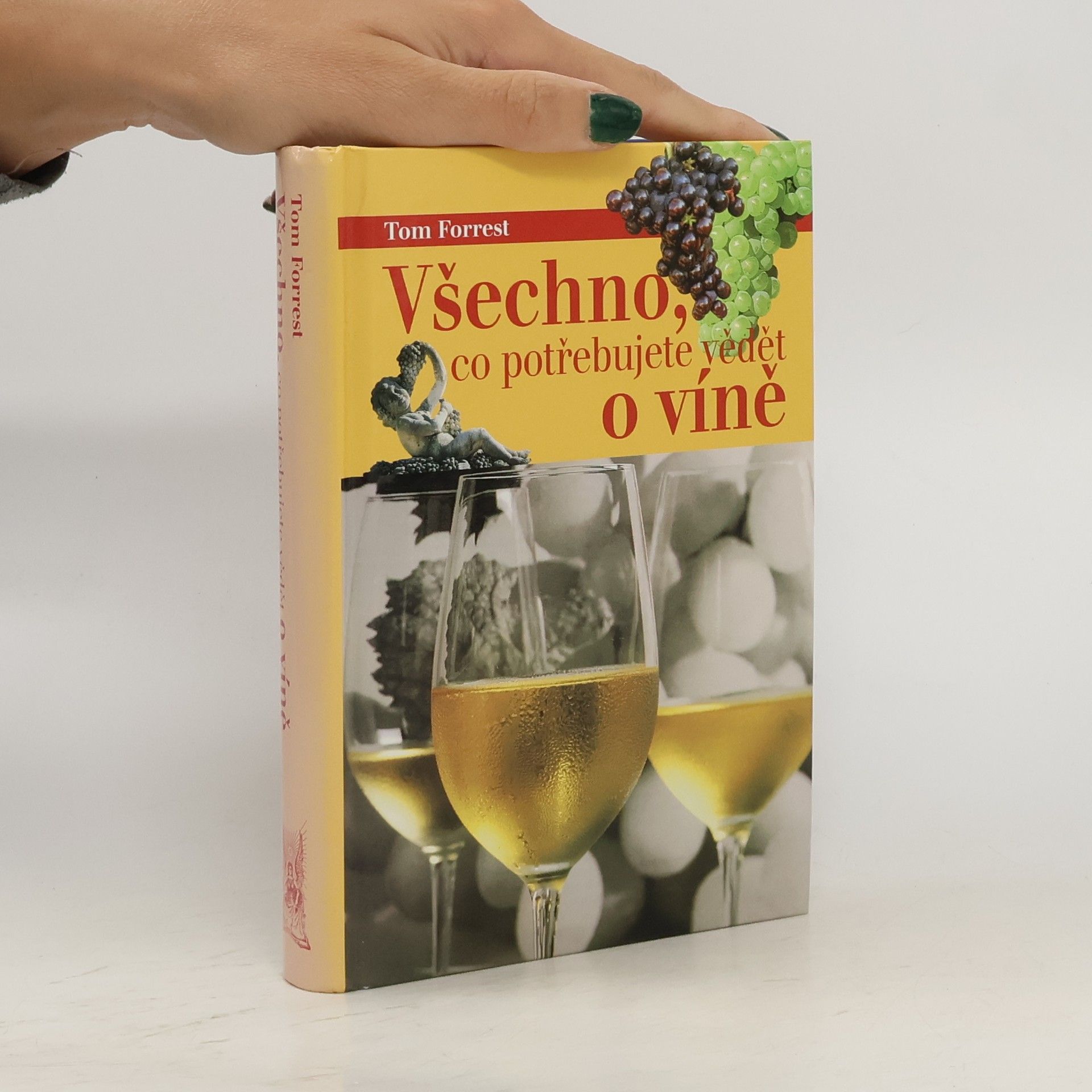 Všechno, co potřebujete vědět o víně