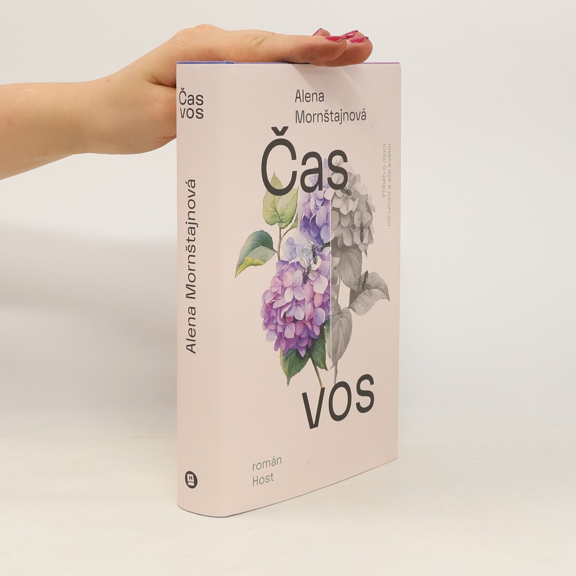 Alena Mornštajnová Čas vos