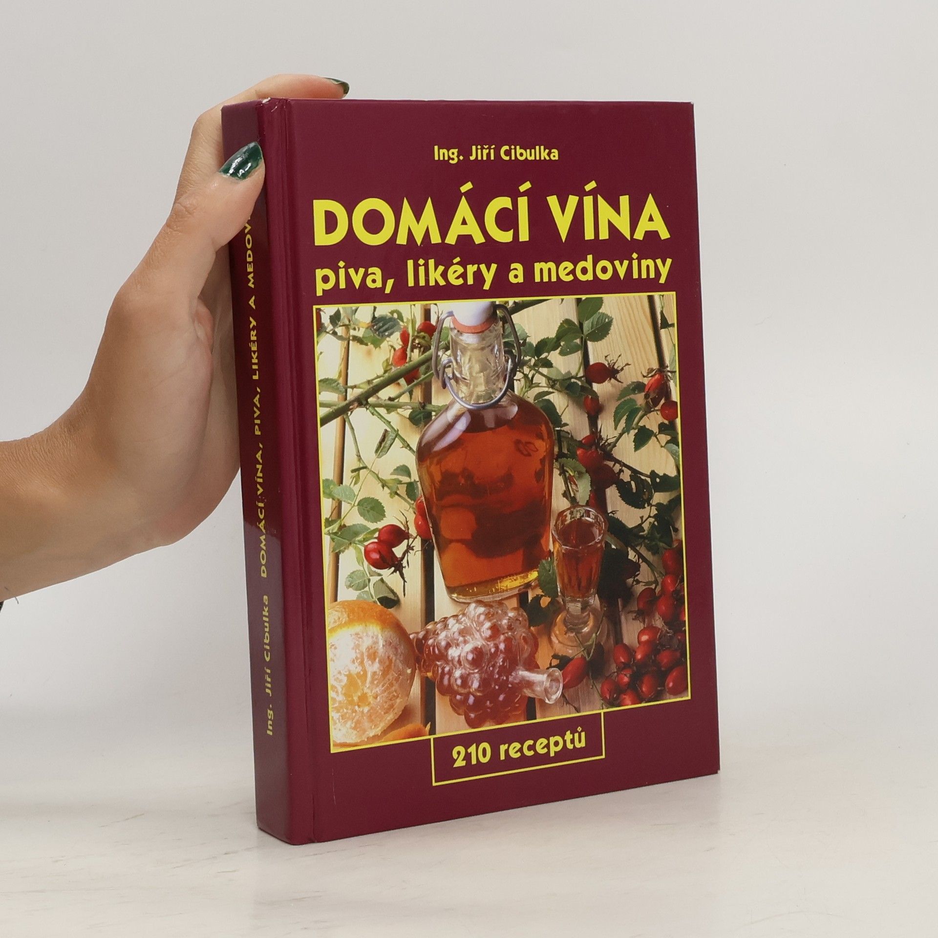Jiří Cibulka Domácí vína: Piva, likéry a medoviny