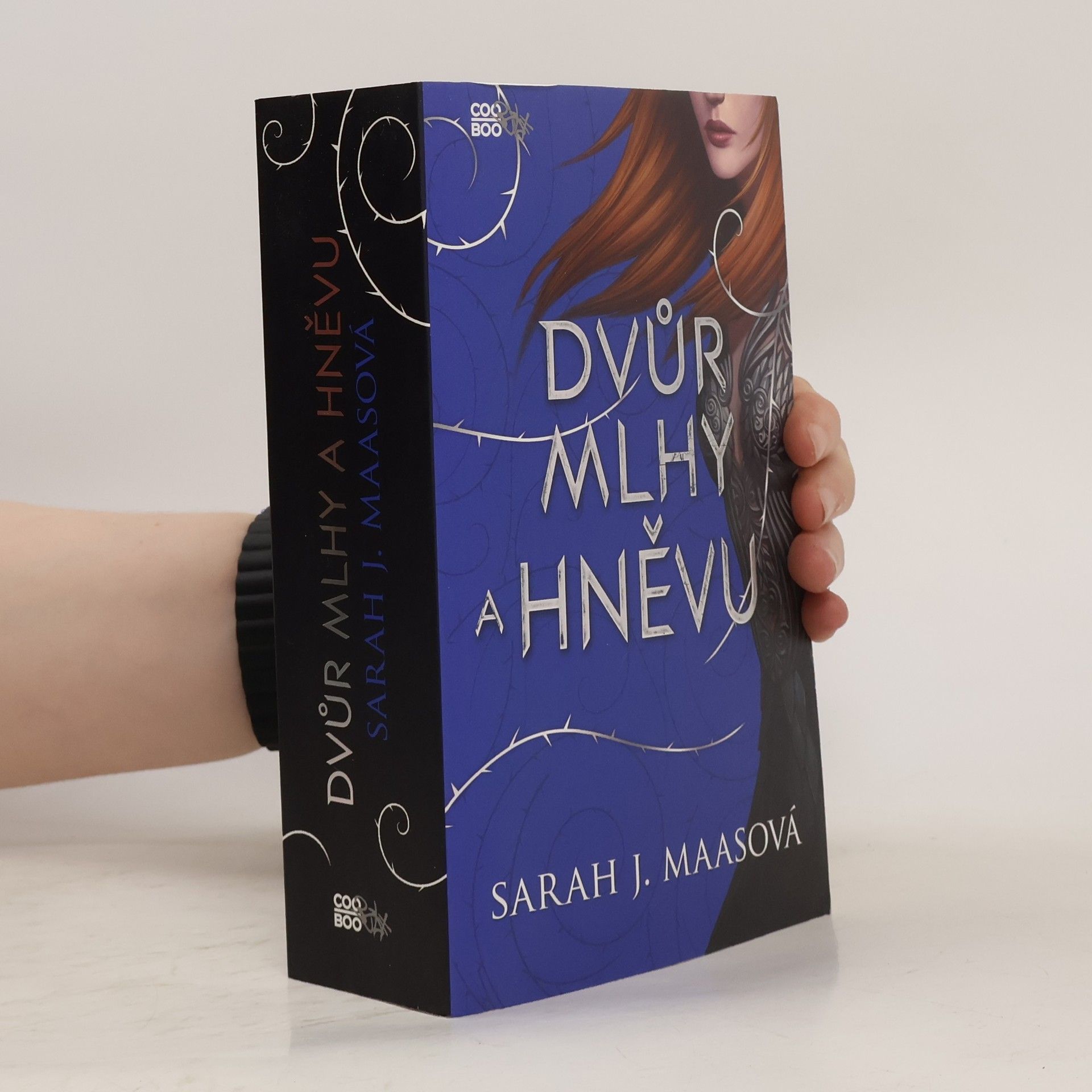 Sarah J. Maas Dvůr mlhy a hněvu