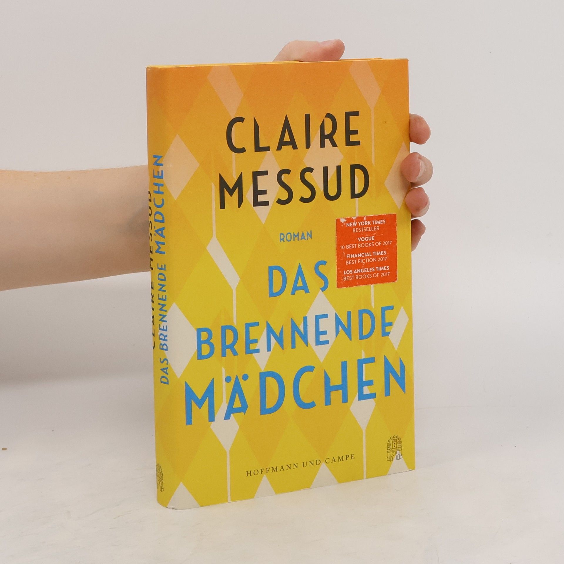 Claire Messud Das brennende Mädchen