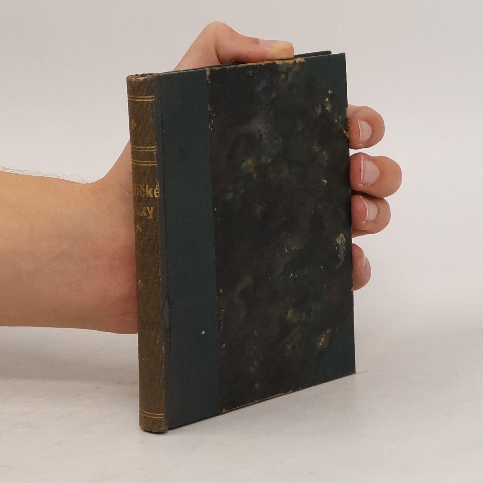 Harriet Beecher Stowe Maličké lišky