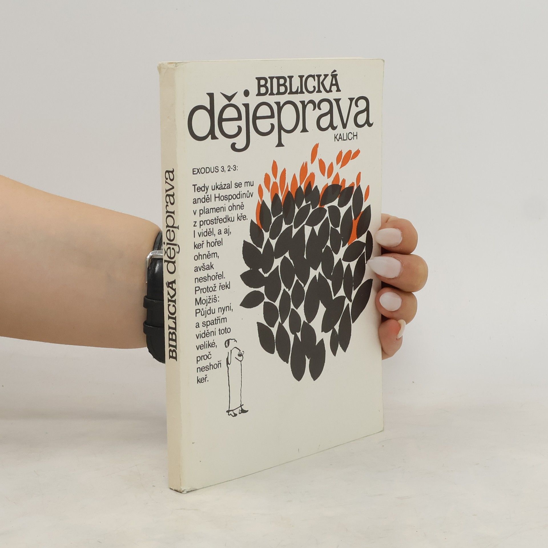 Viktor Hájek Biblická dějeprava