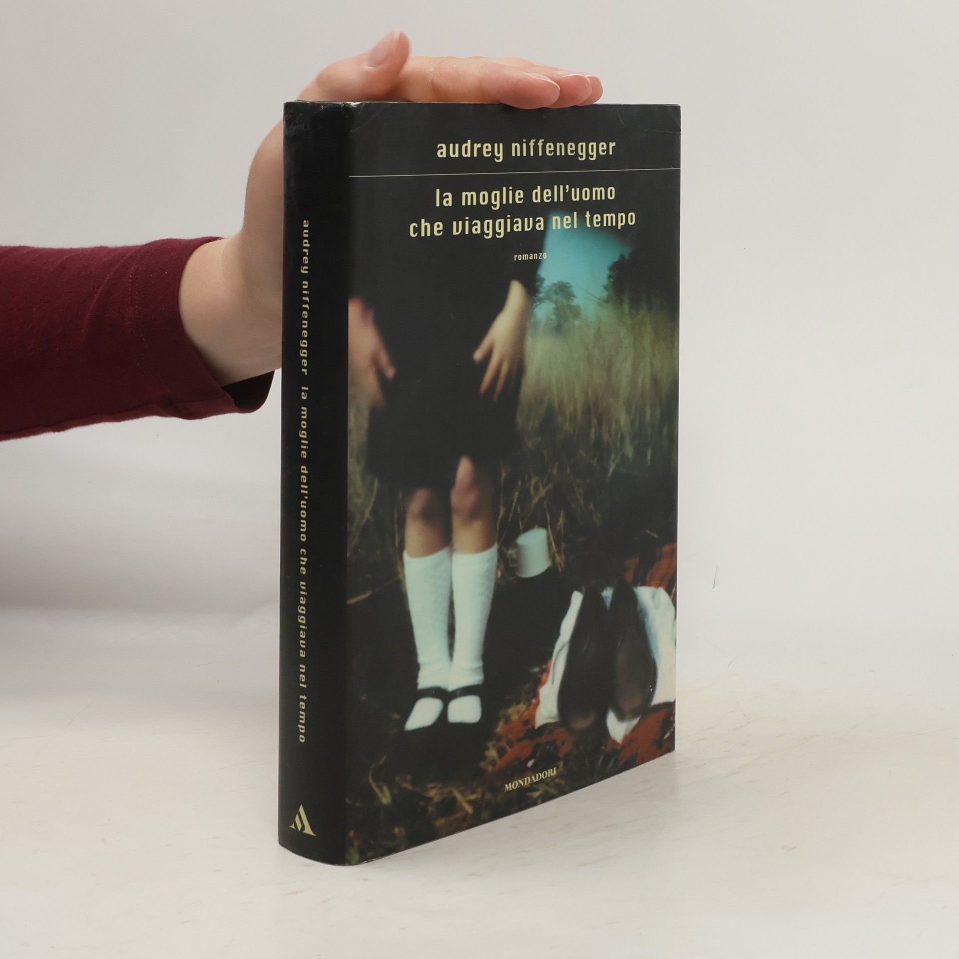 Audrey Niffenegger La moglie dell'uomo che viaggiava nel tempo