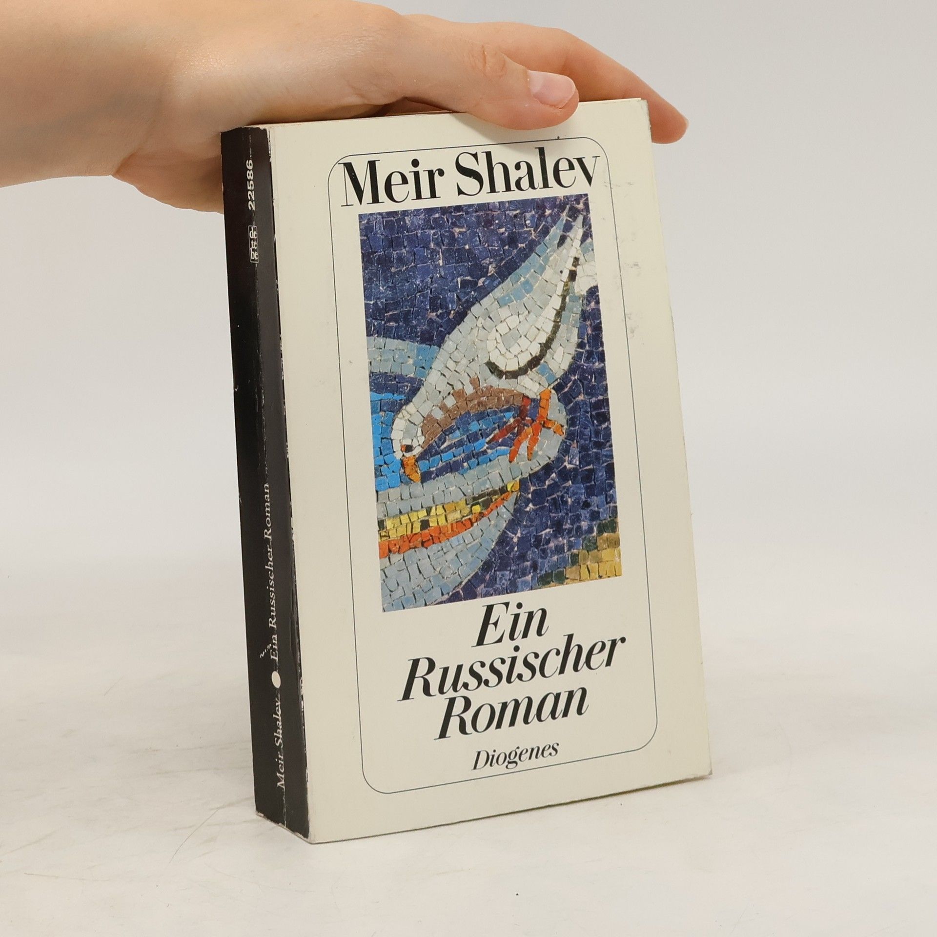 Meir Shalev Ein russischer Roman