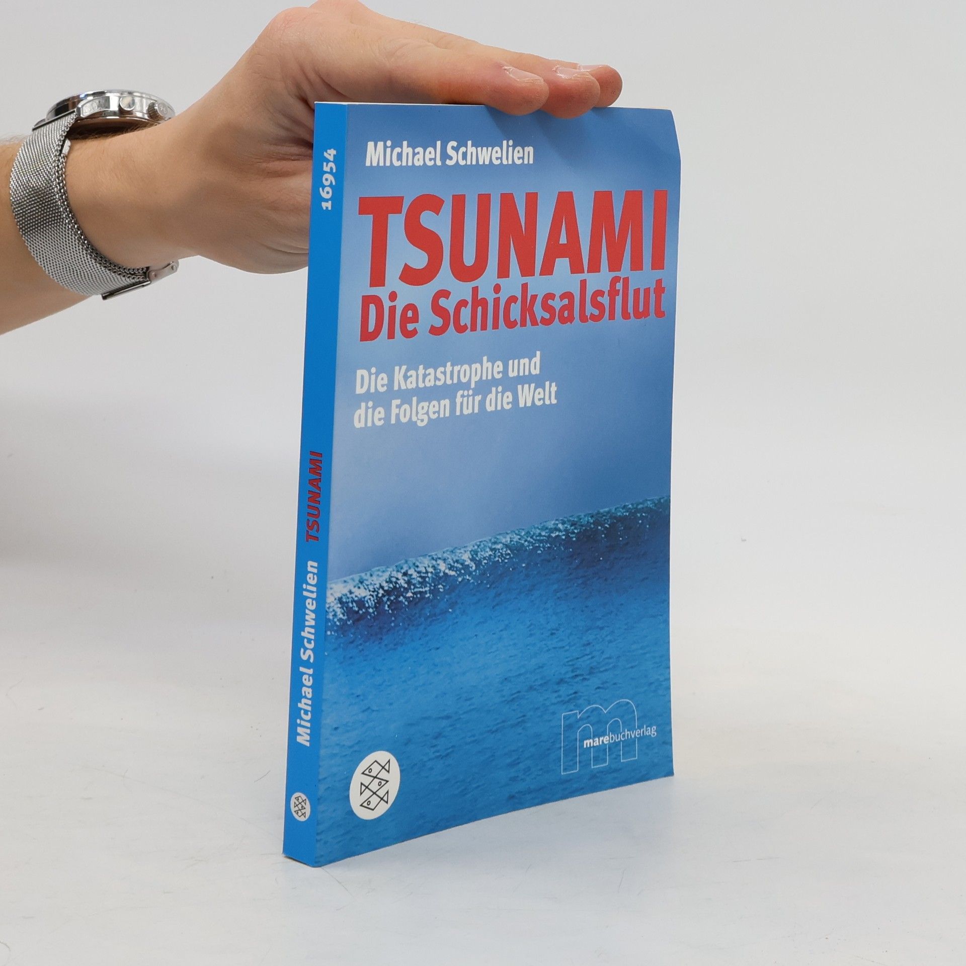 Michael Schwelien Tsunami