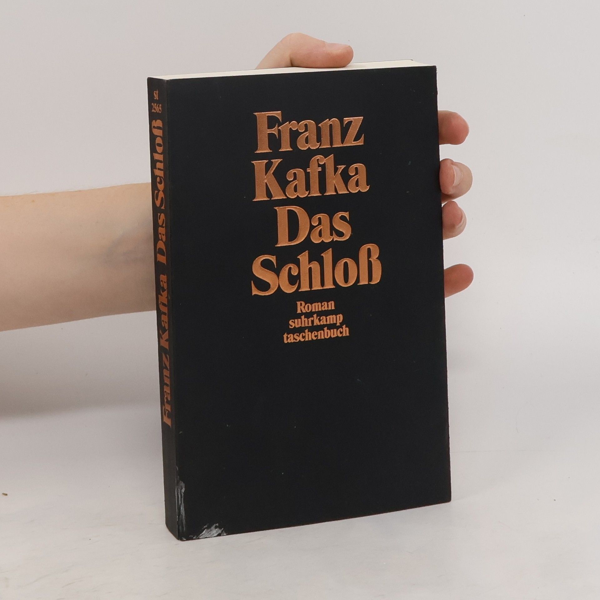 Franz Kafka Das Schloss
