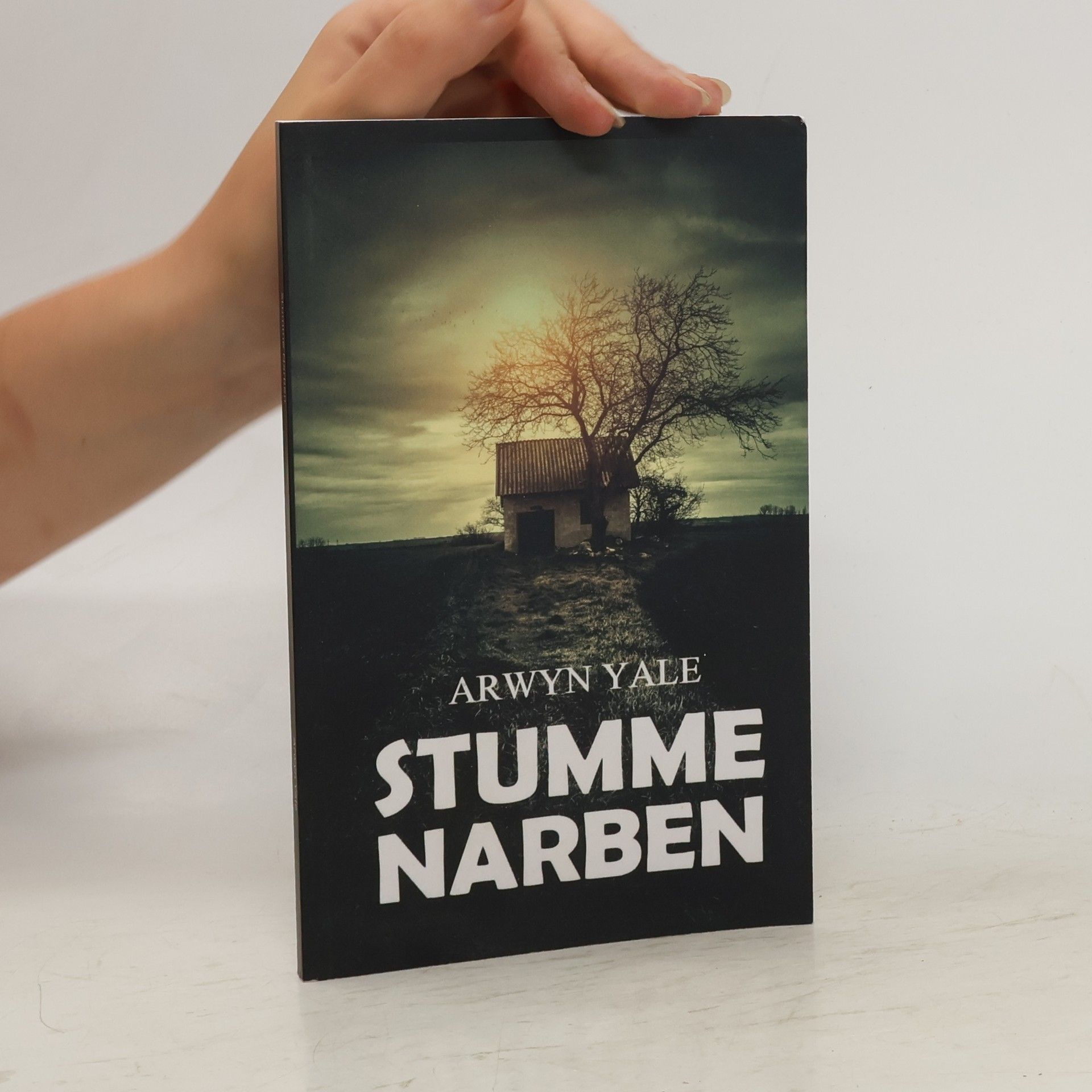 Arwyn Yale Stumme Narben