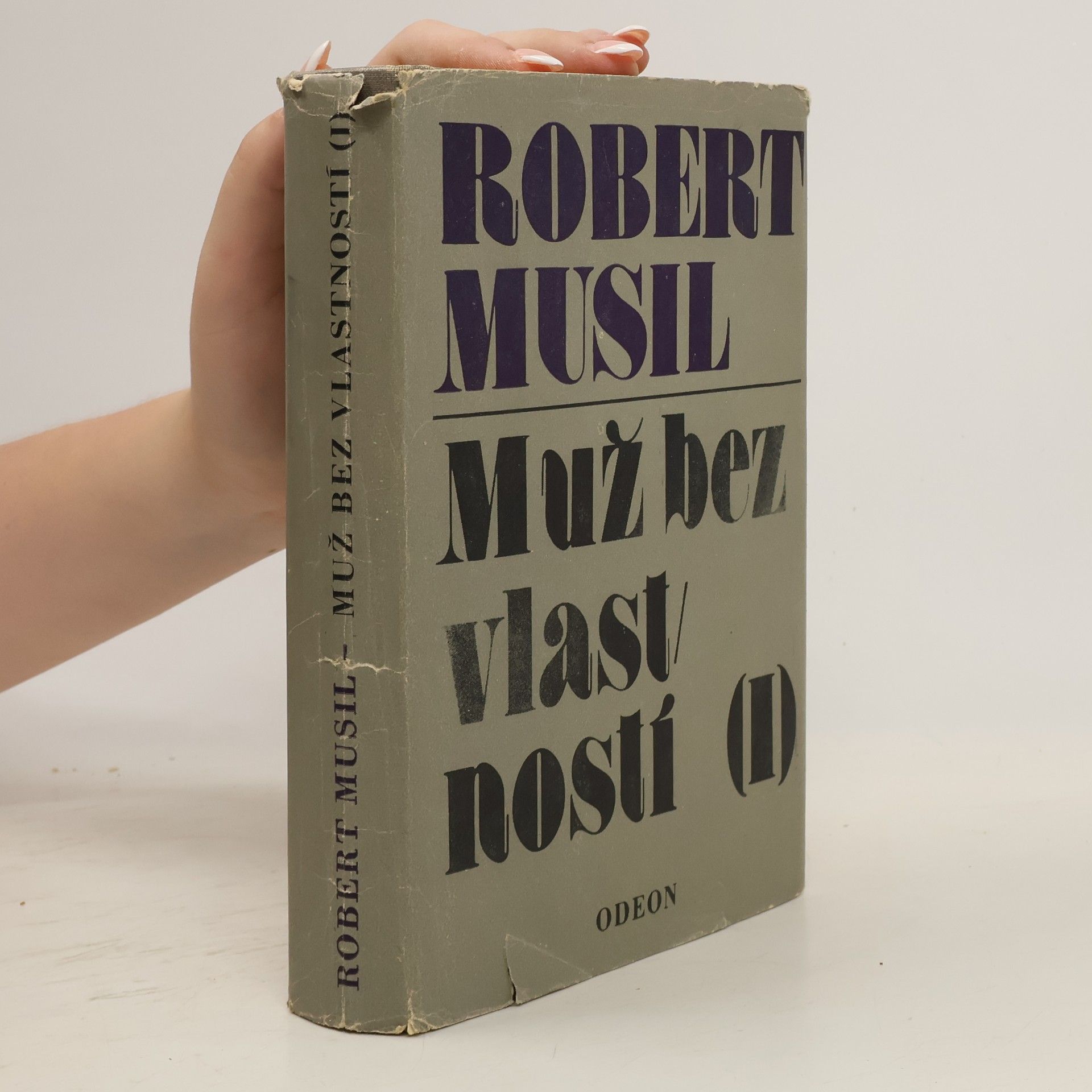 Robert Musil Muž bez vlastností I