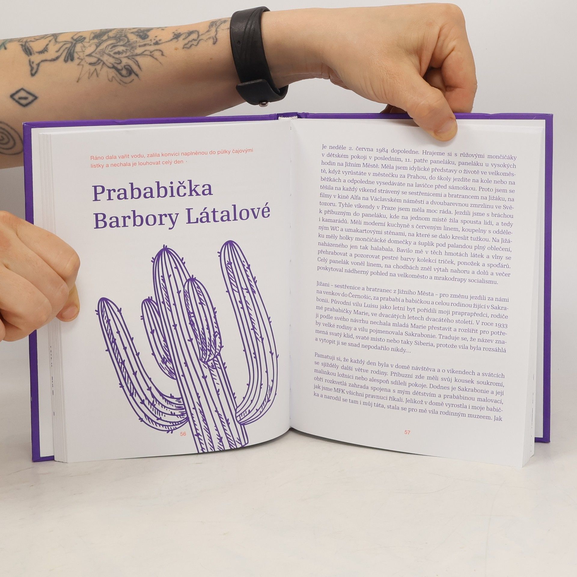 Autorenkollektiv Báječné babičky a úžasní dědečci
