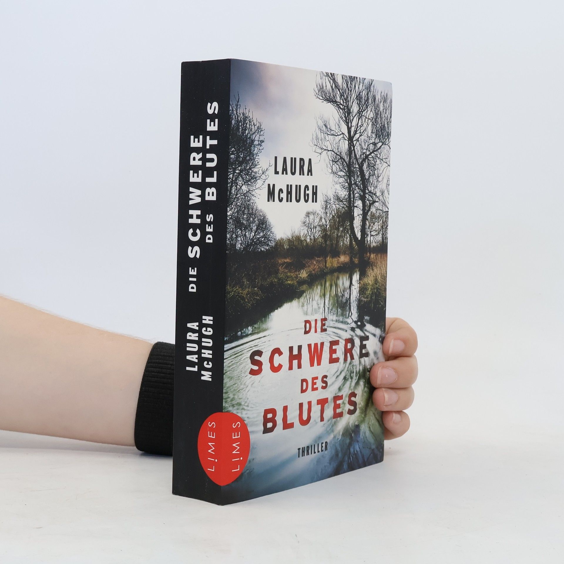 Laura McHugh Die Schwere des Blutes