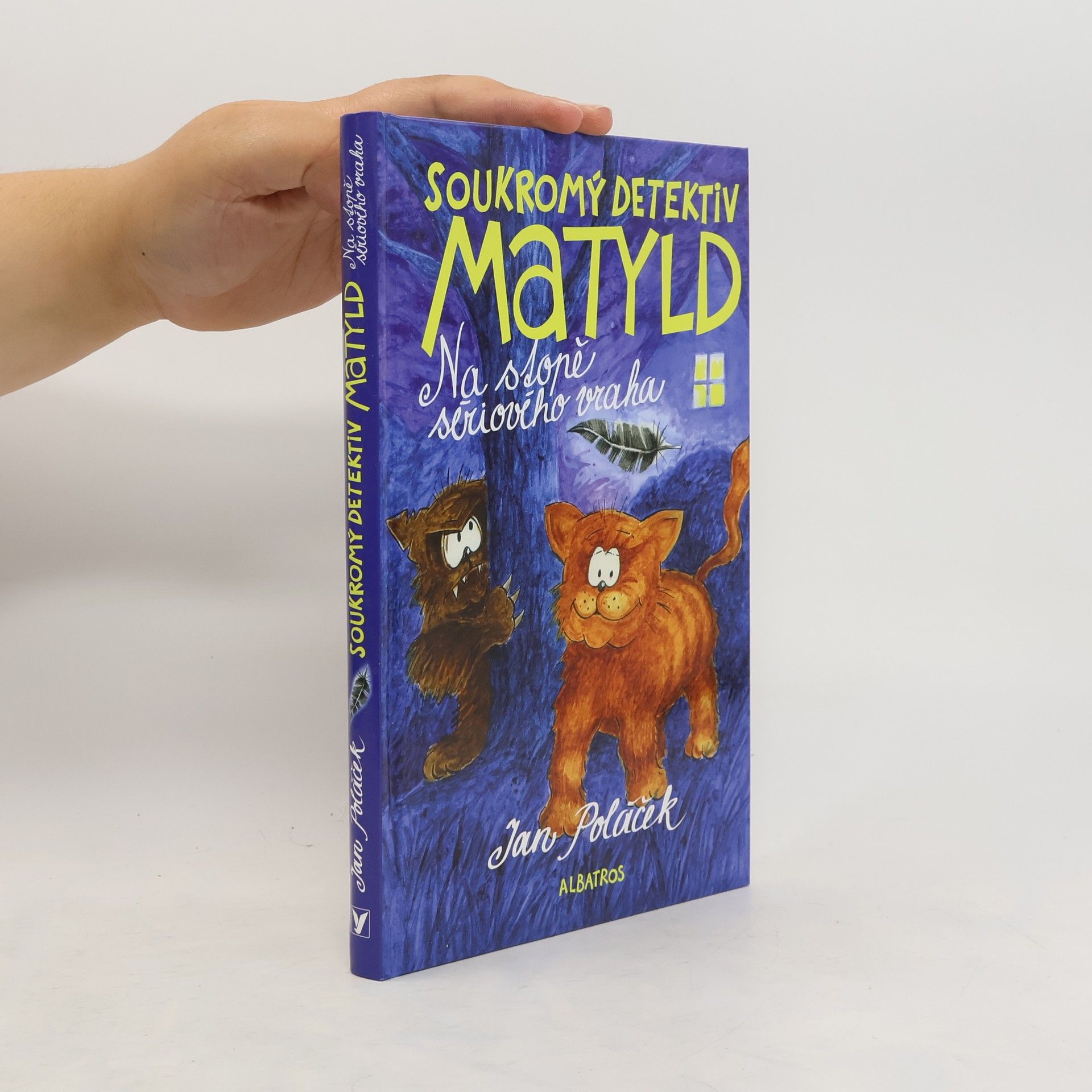 Jan Poláček Soukromý detektiv Matyld
