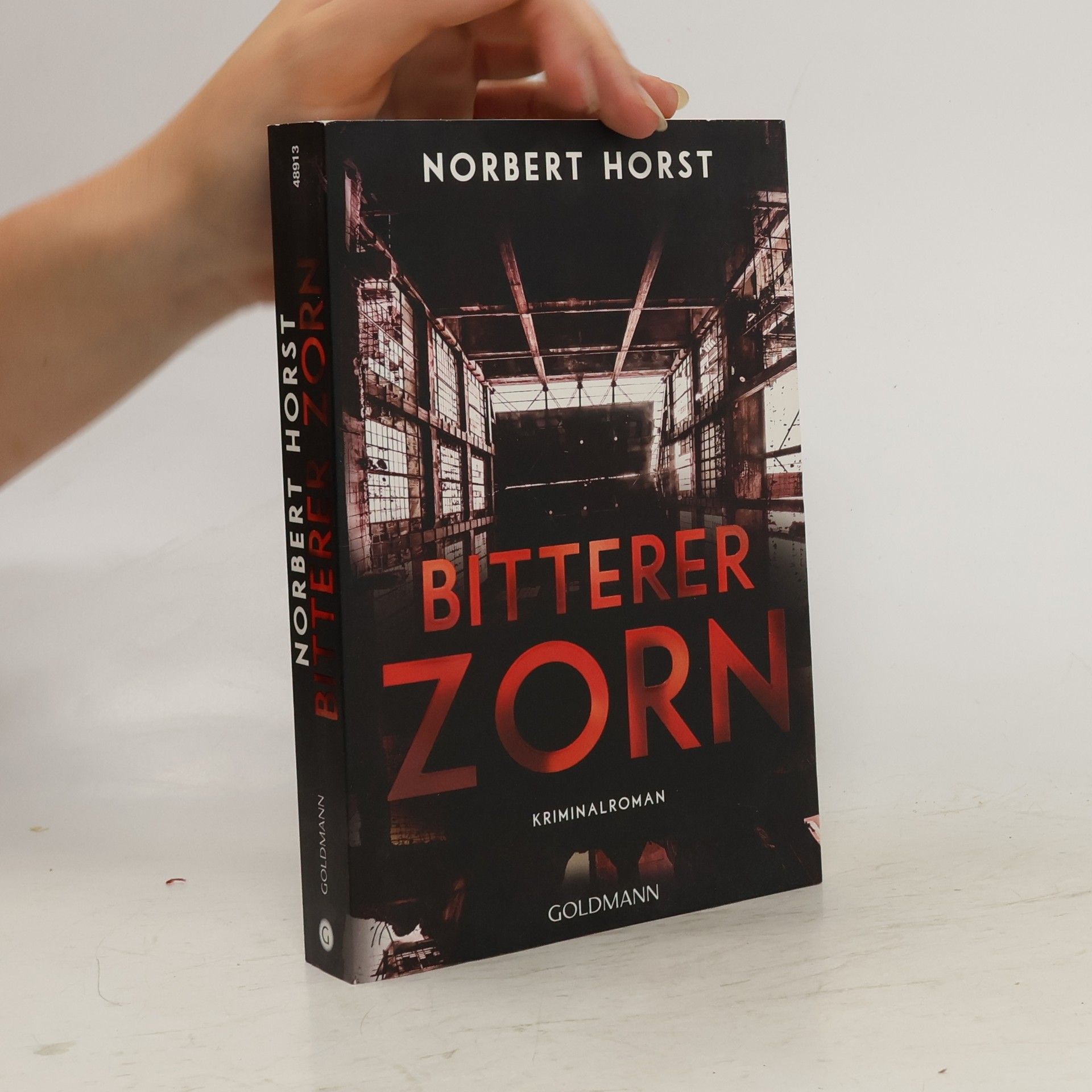 Norbert Horst Bitterer Zorn