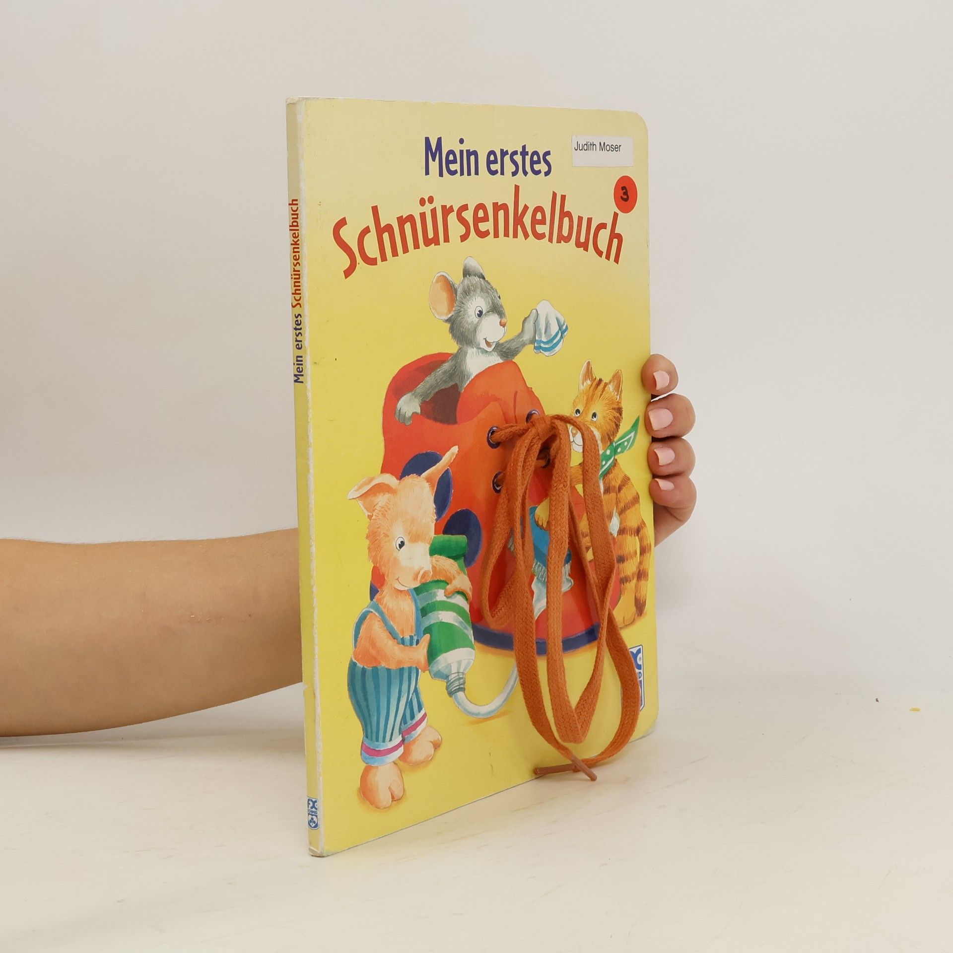 Antje Flad Mein erstes Schnürsenkelbuch