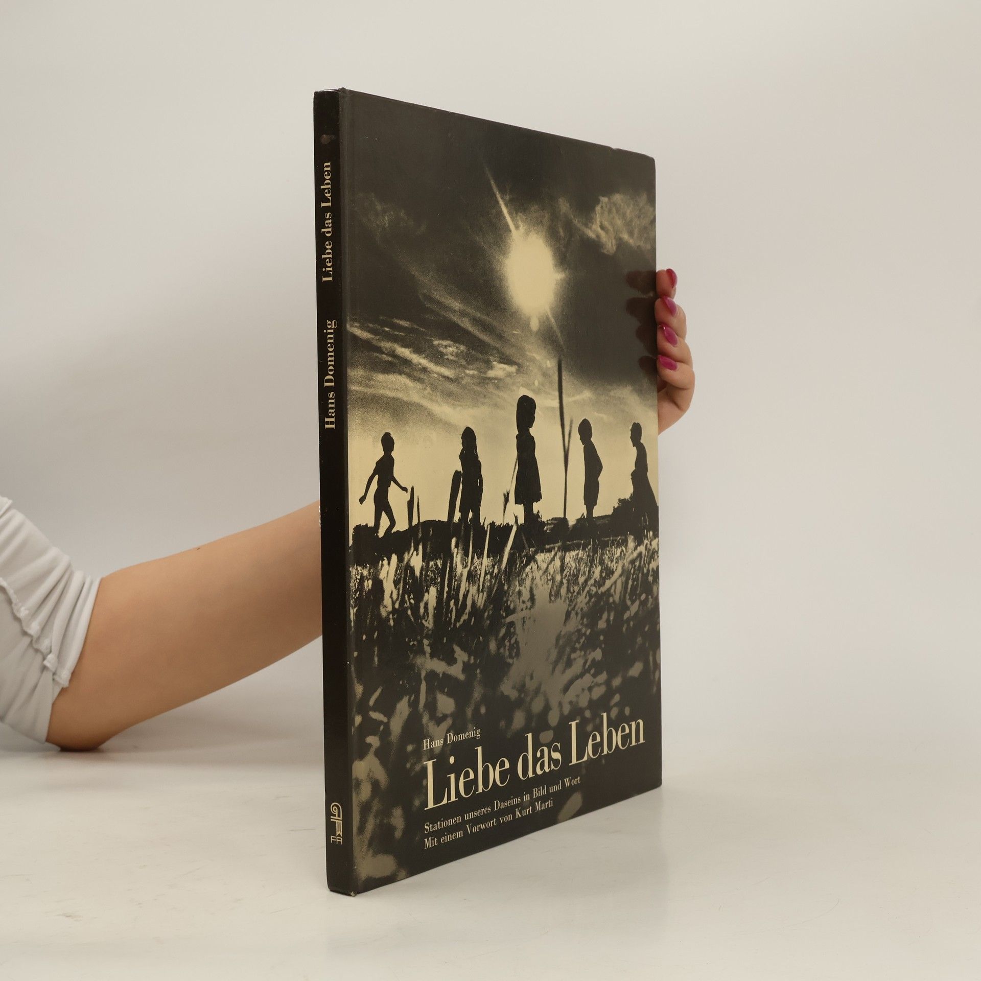 Hans Domenig Liebe das Leben