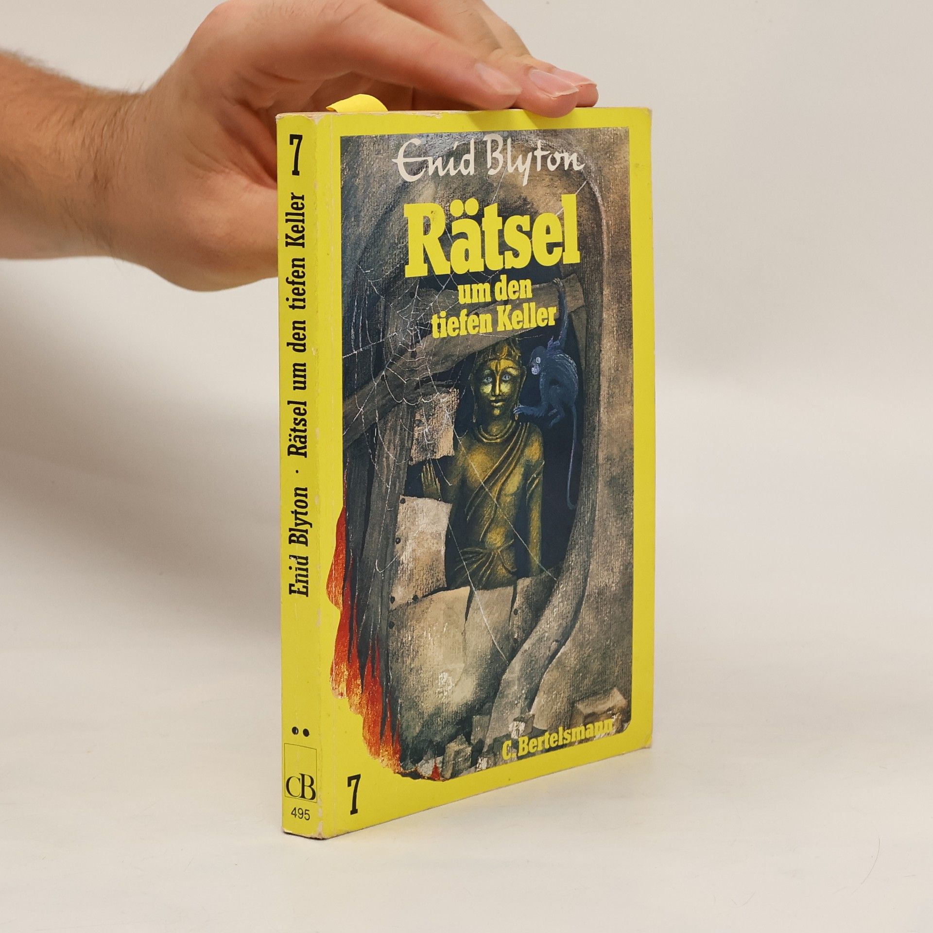 Enid Blyton Rätsel um den tiefen Keller. Ab 8 Jahren
