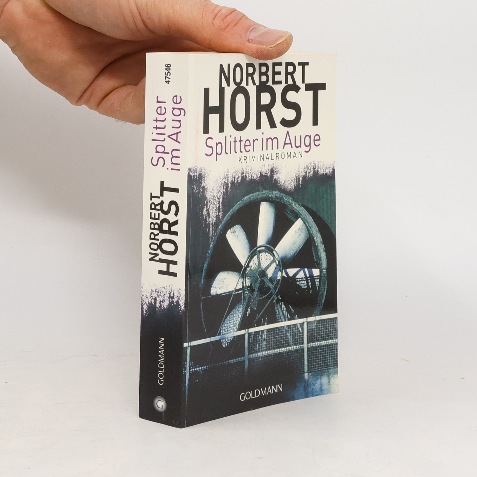 Norbert Horst Splitter im Auge