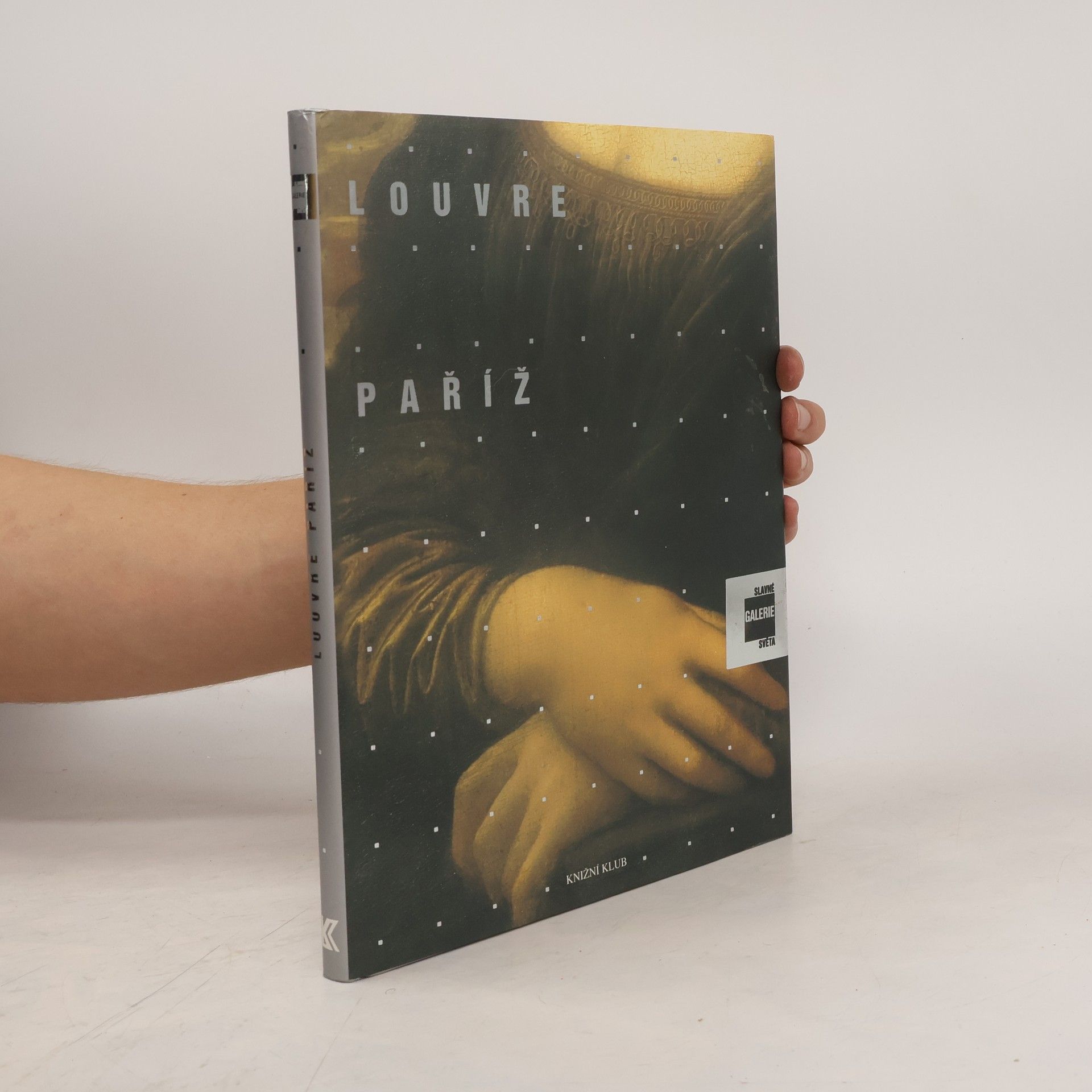 Alessandra Fregolent Slavné galerie světa. Louvre - Paříž