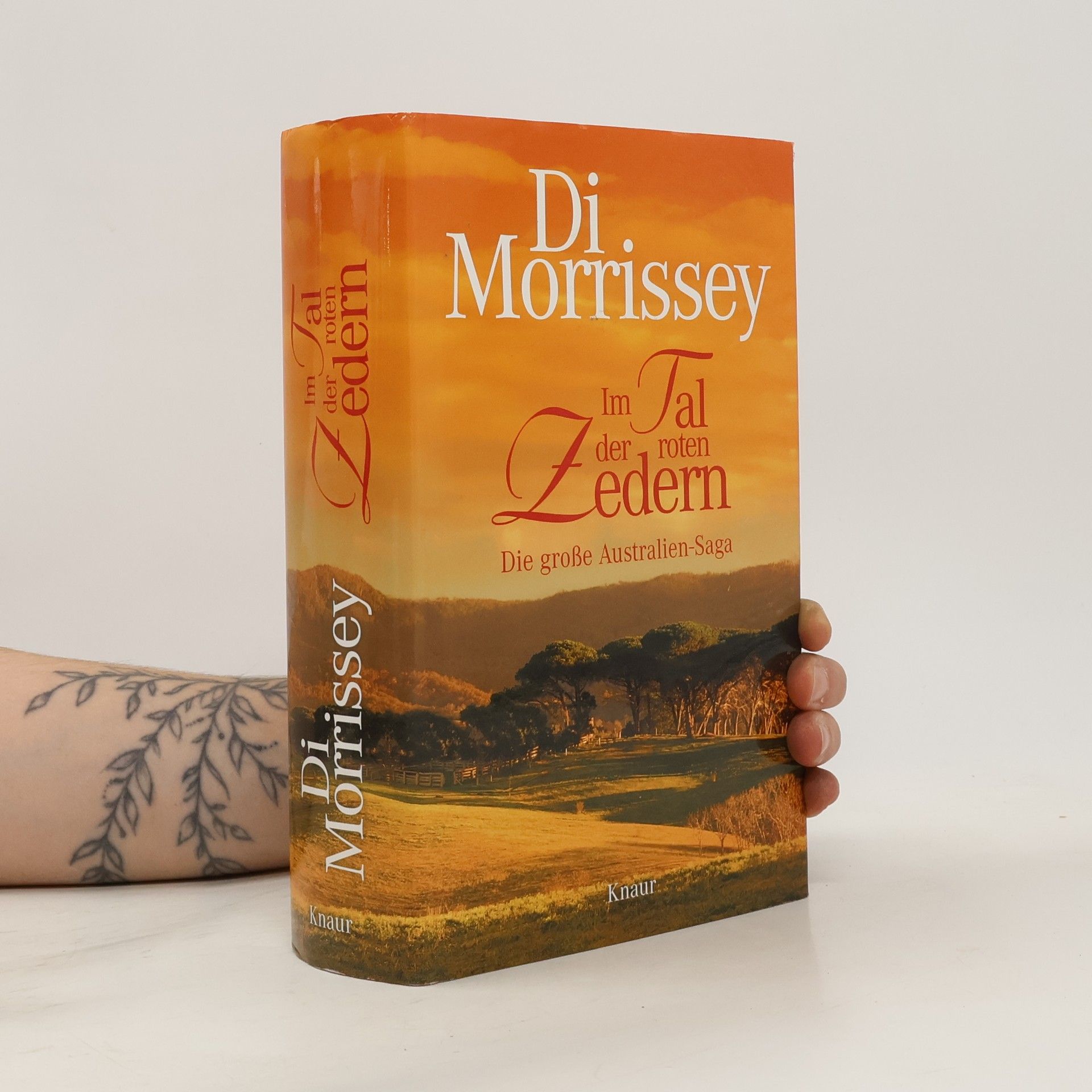 Di Morrissey Im Tal der roten Zedern