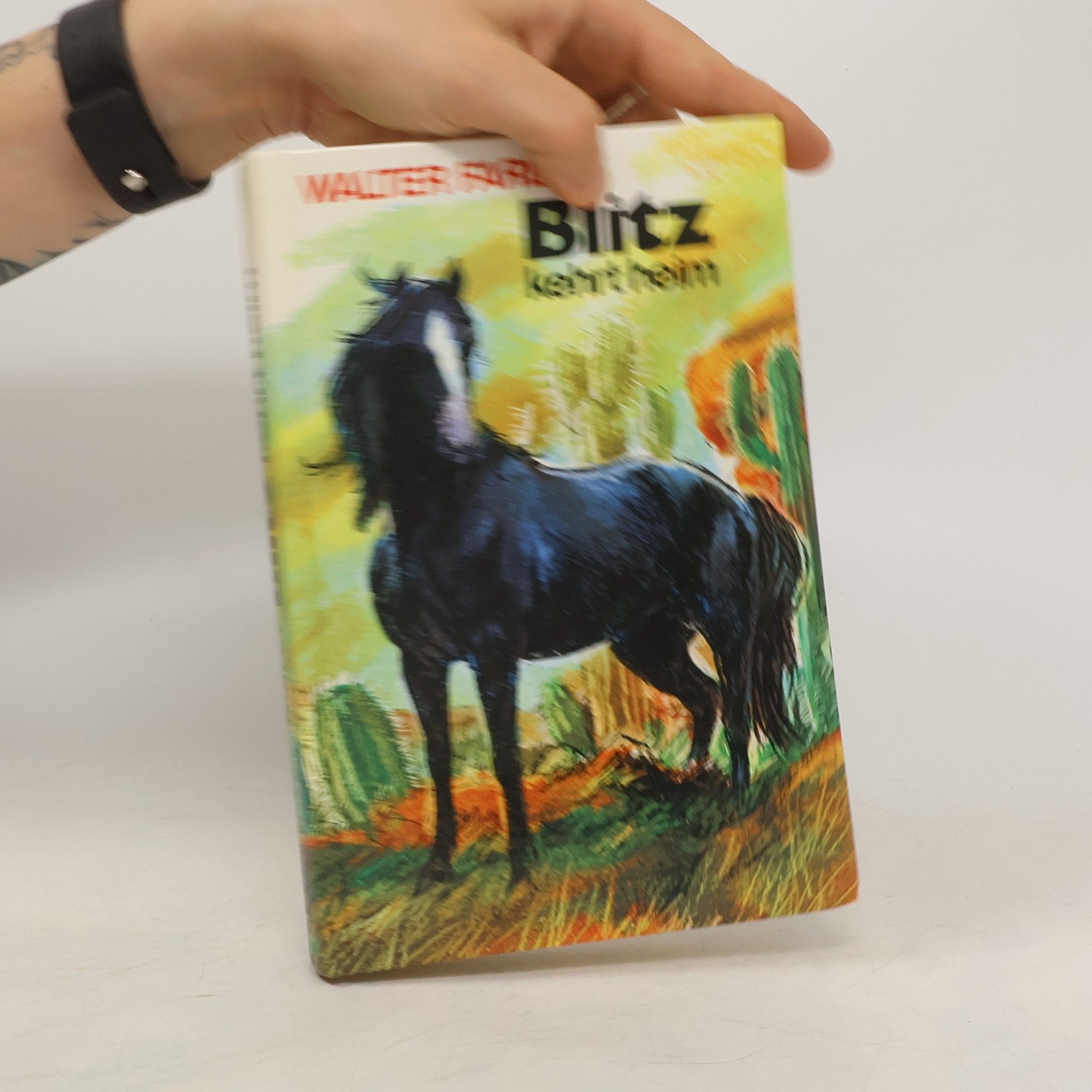 Walter Farley Blitz kehrt heim