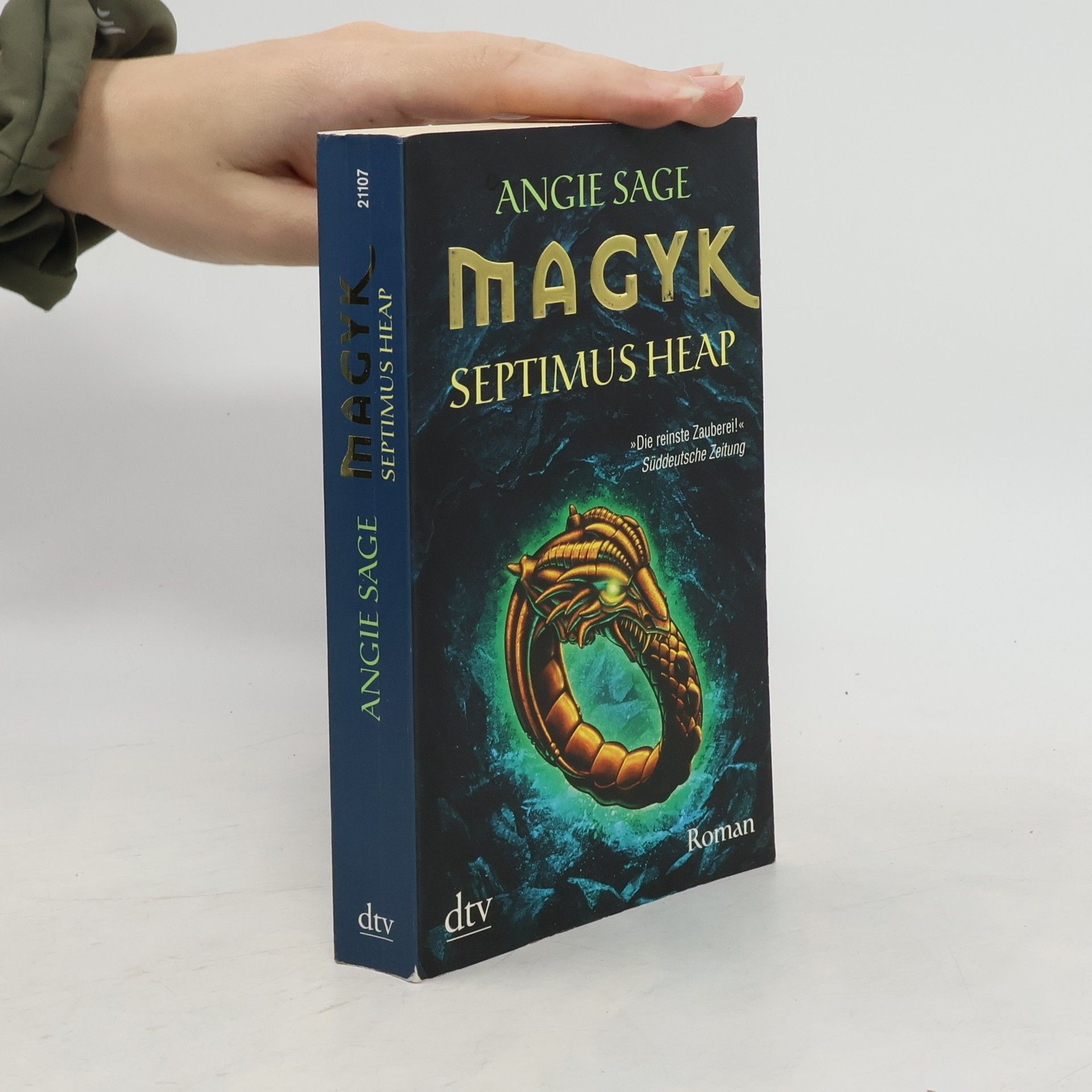 Angie Sage Septimus Heap