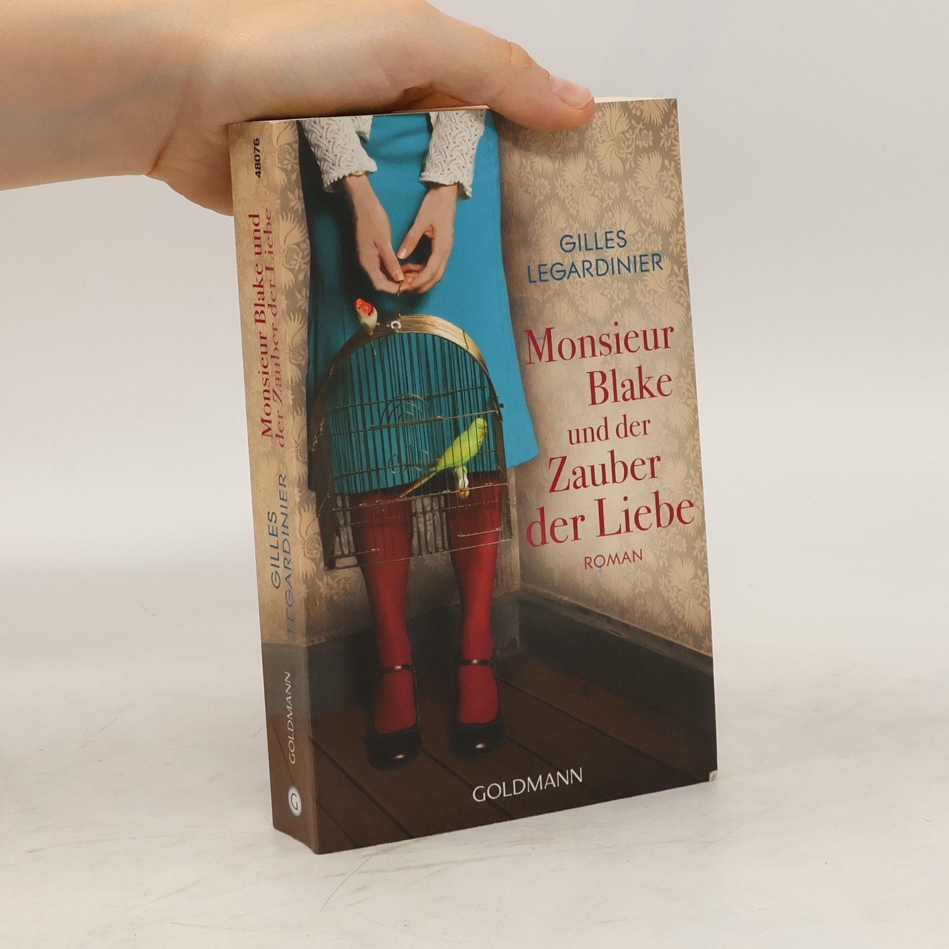 Gilles Legardinier Monsieur Blake und der Zauber der Liebe