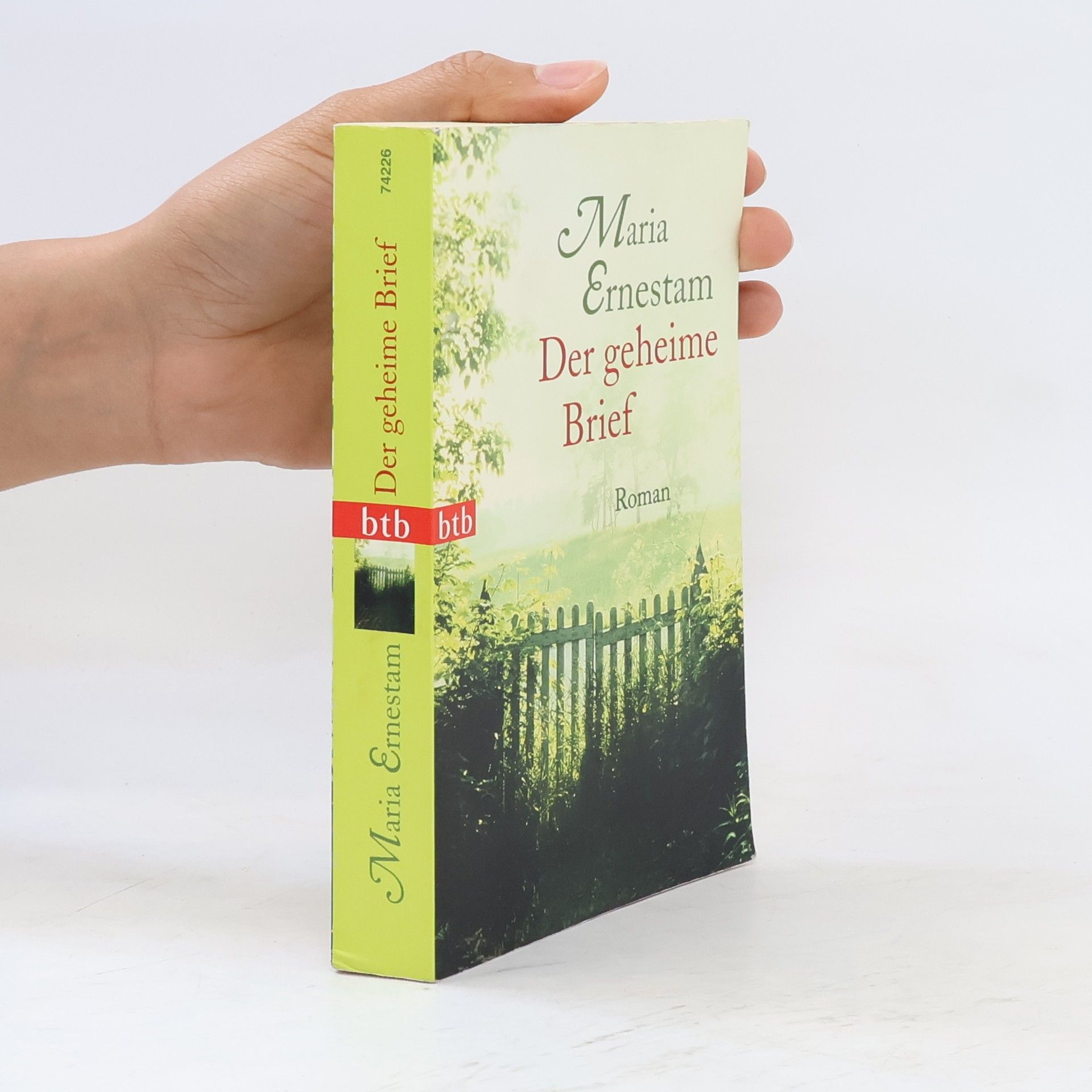 Maria Ernestam Der geheime Brief