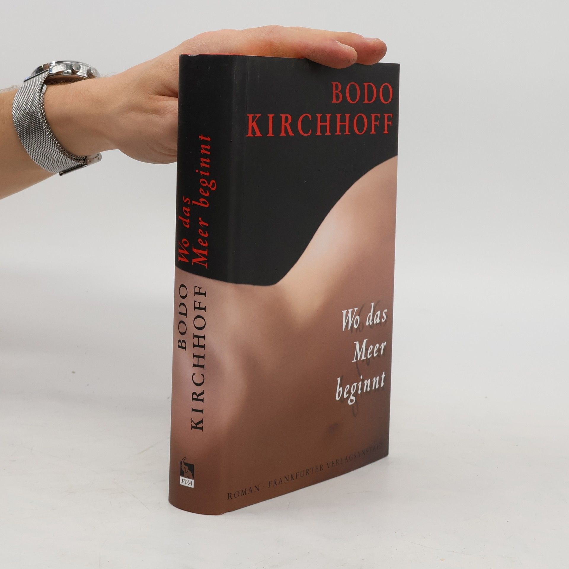 Bodo Kirchhoff Wo das Meer beginnt
