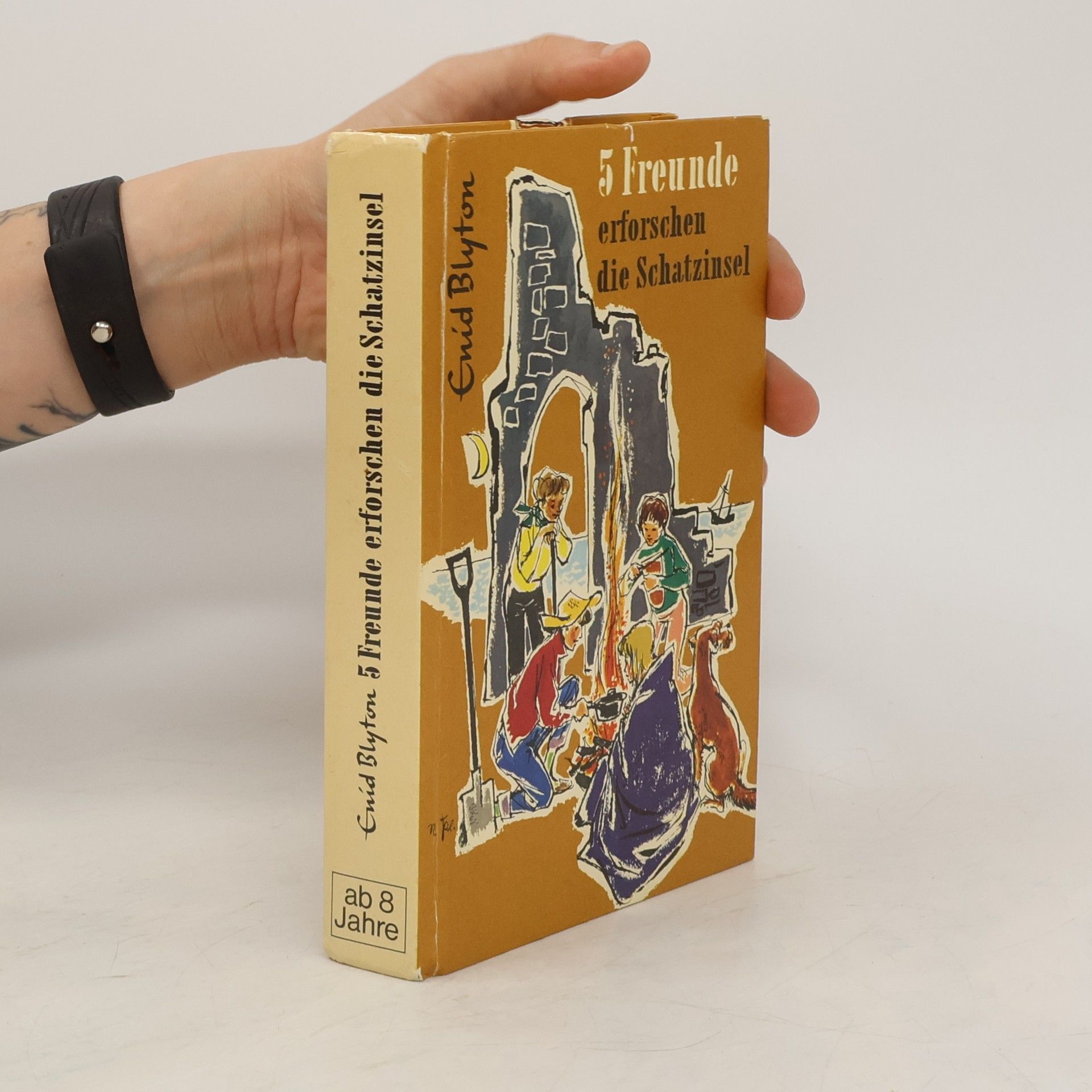 Enid Blyton 5 Freunde erforschen die Schatzinsel