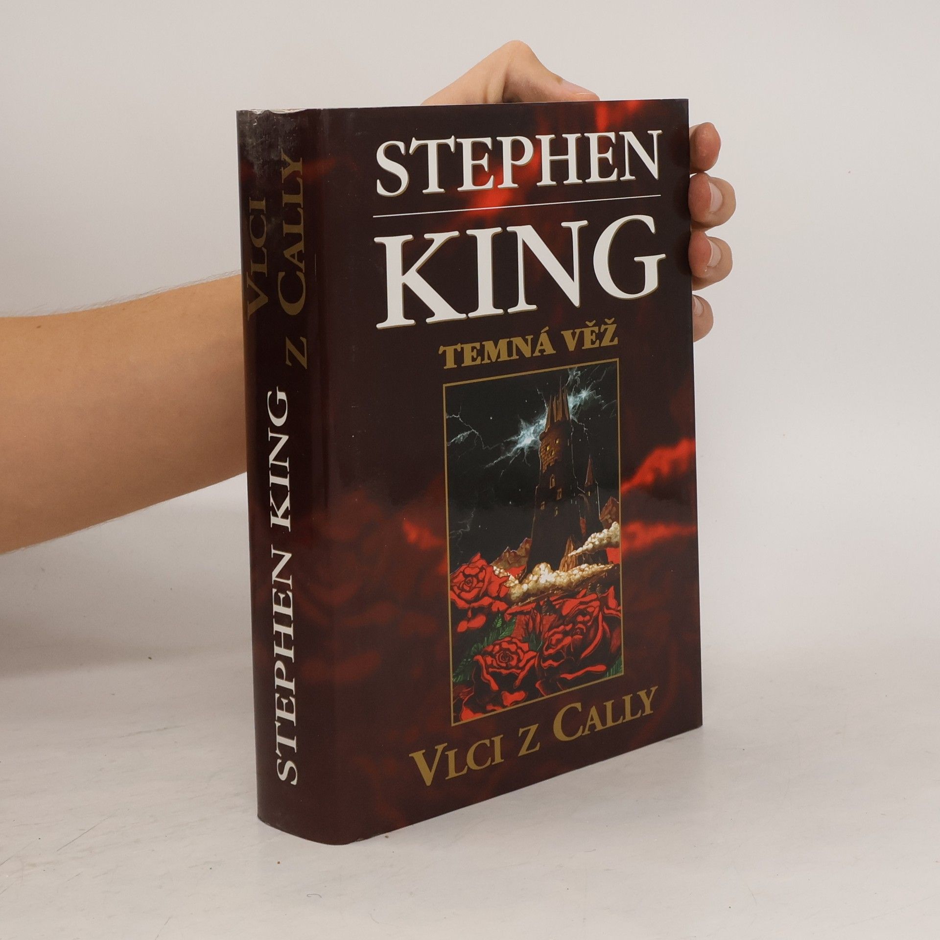 Stephen King Temná věž V.