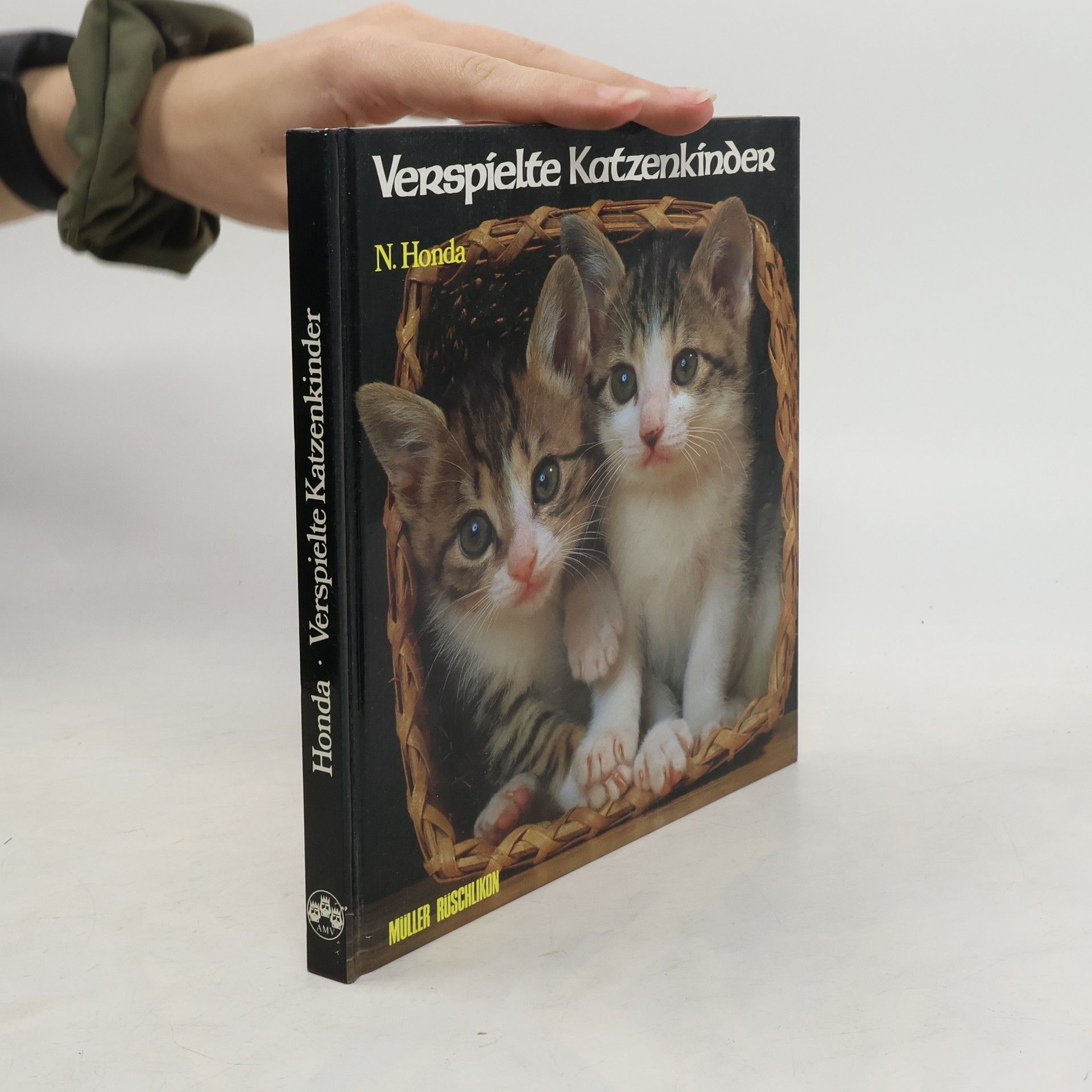Nobuo Honda Verspielte Katzenkinder