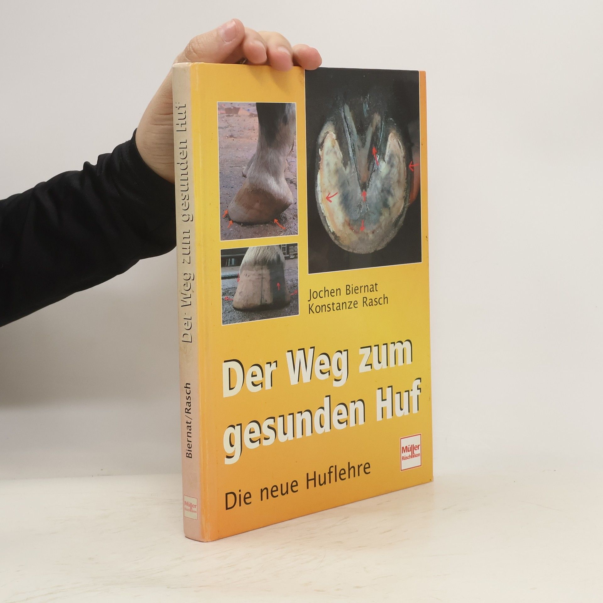 Jochen Biernat Der Weg zum gesunden Huf