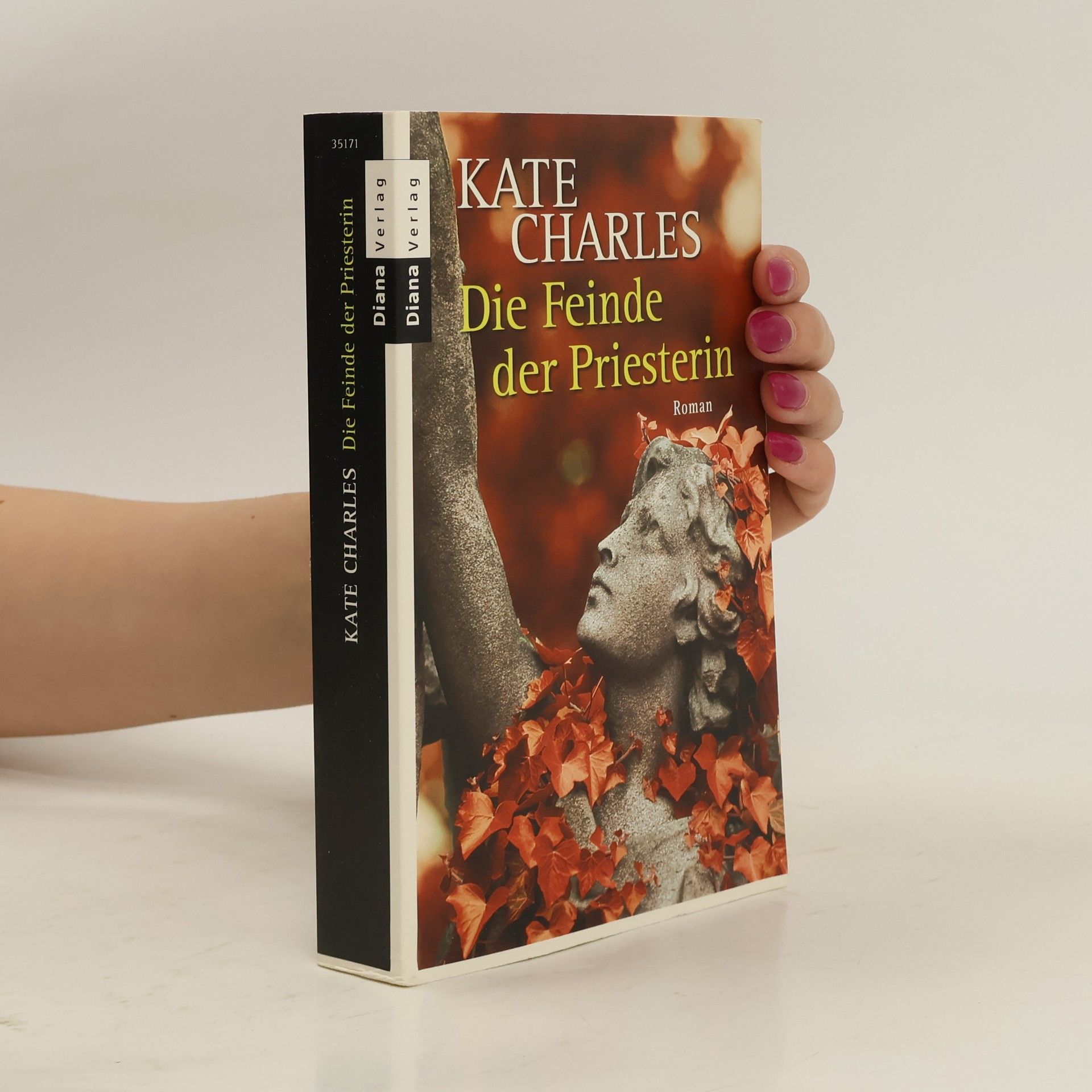 Kate Charles Die Feinde der Priesterin