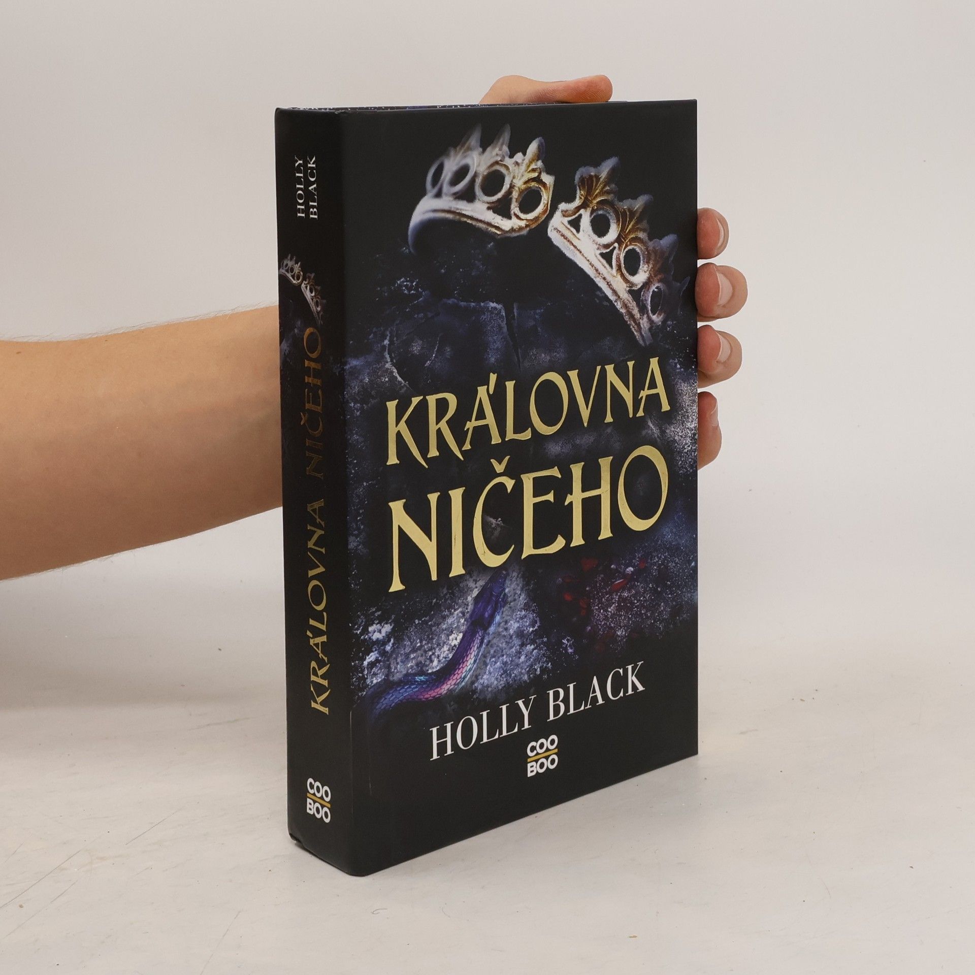 Holly Black Královna ničeho