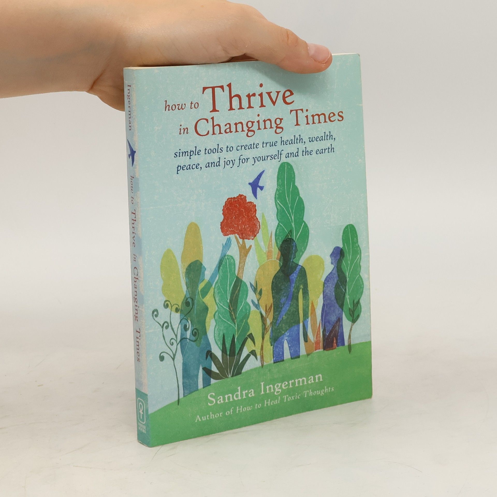 Sandra Ingerman How to Thrive in Changing Times