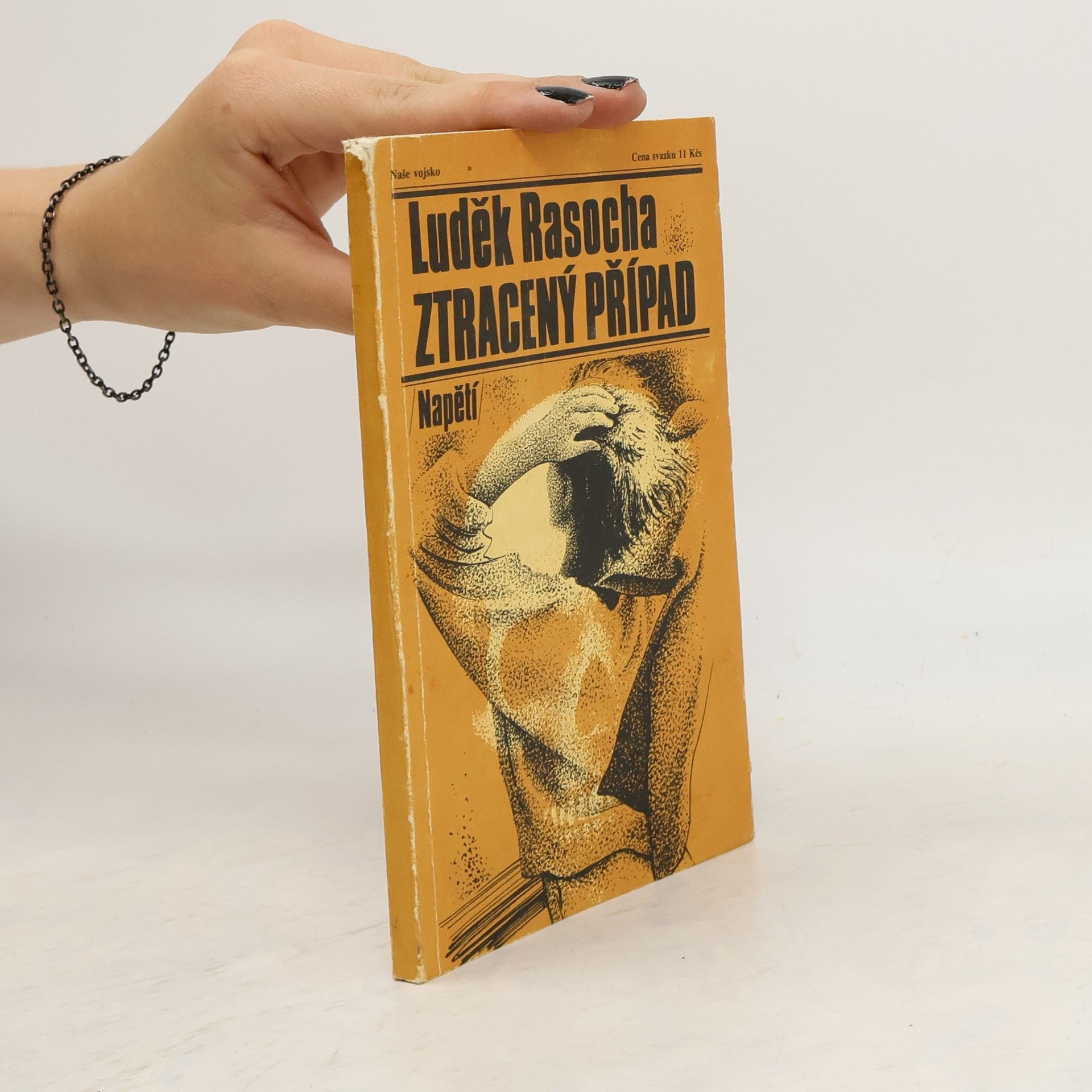 Luděk Rasocha Ztracený případ