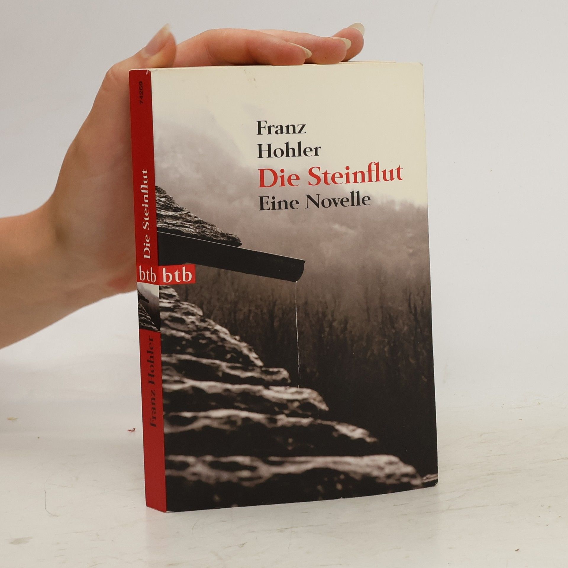 Franz Hohler Die Steinflut