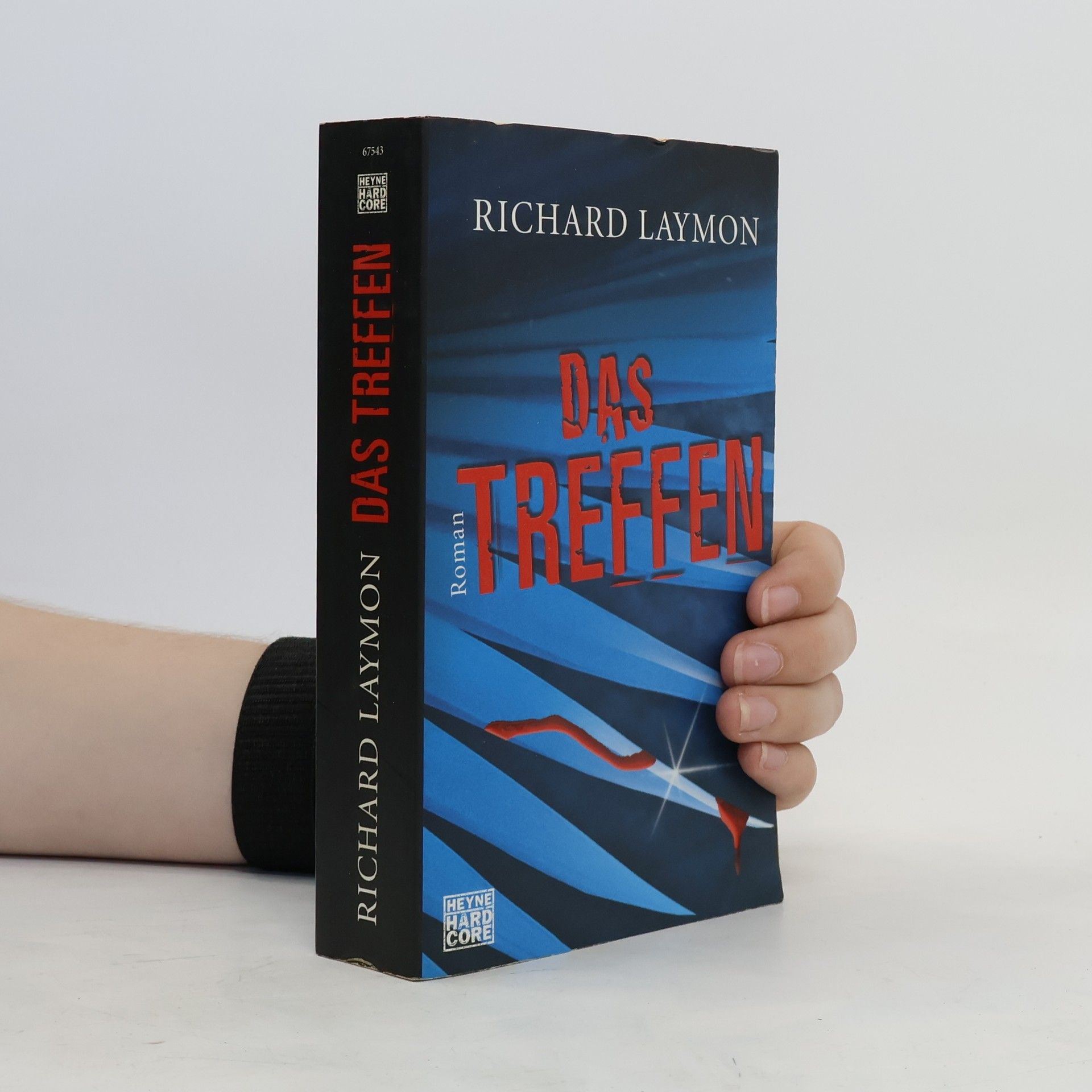 Richard Laymon Das Treffen