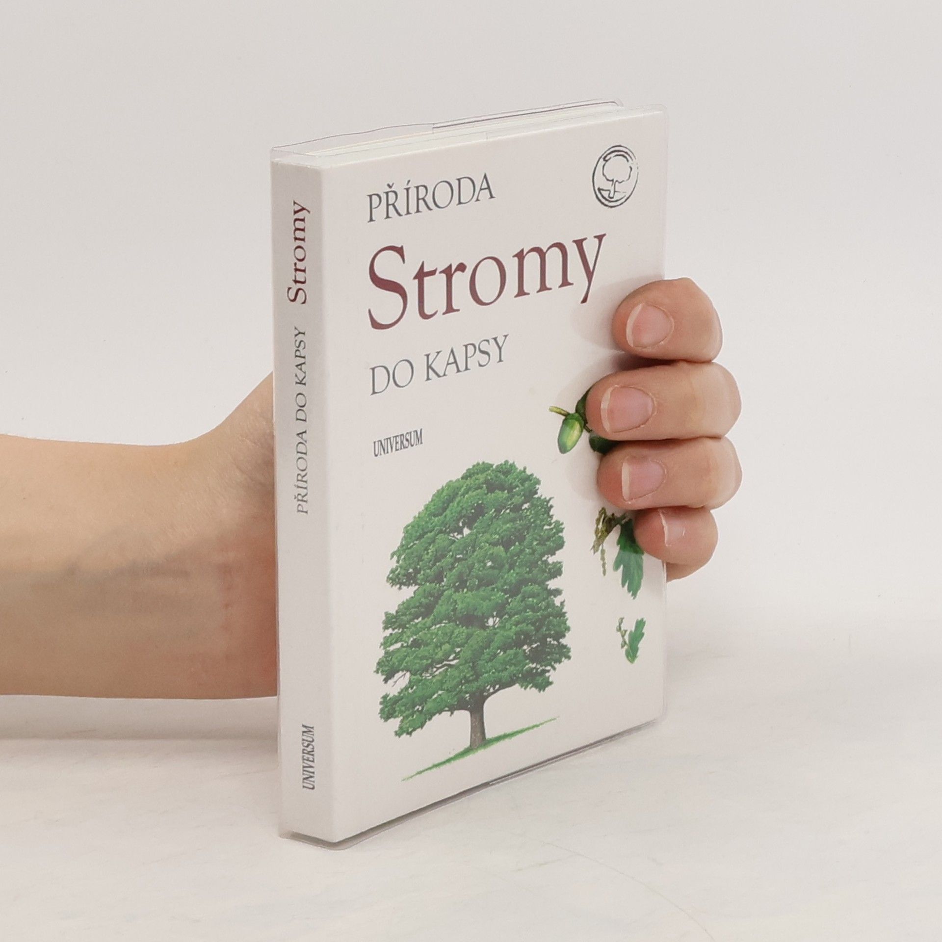 kolektiv Stromy