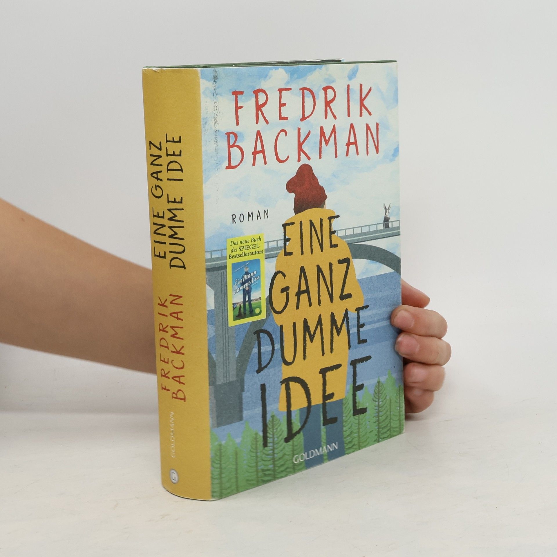 Fredrik Backman Eine Ganz dumme Idee