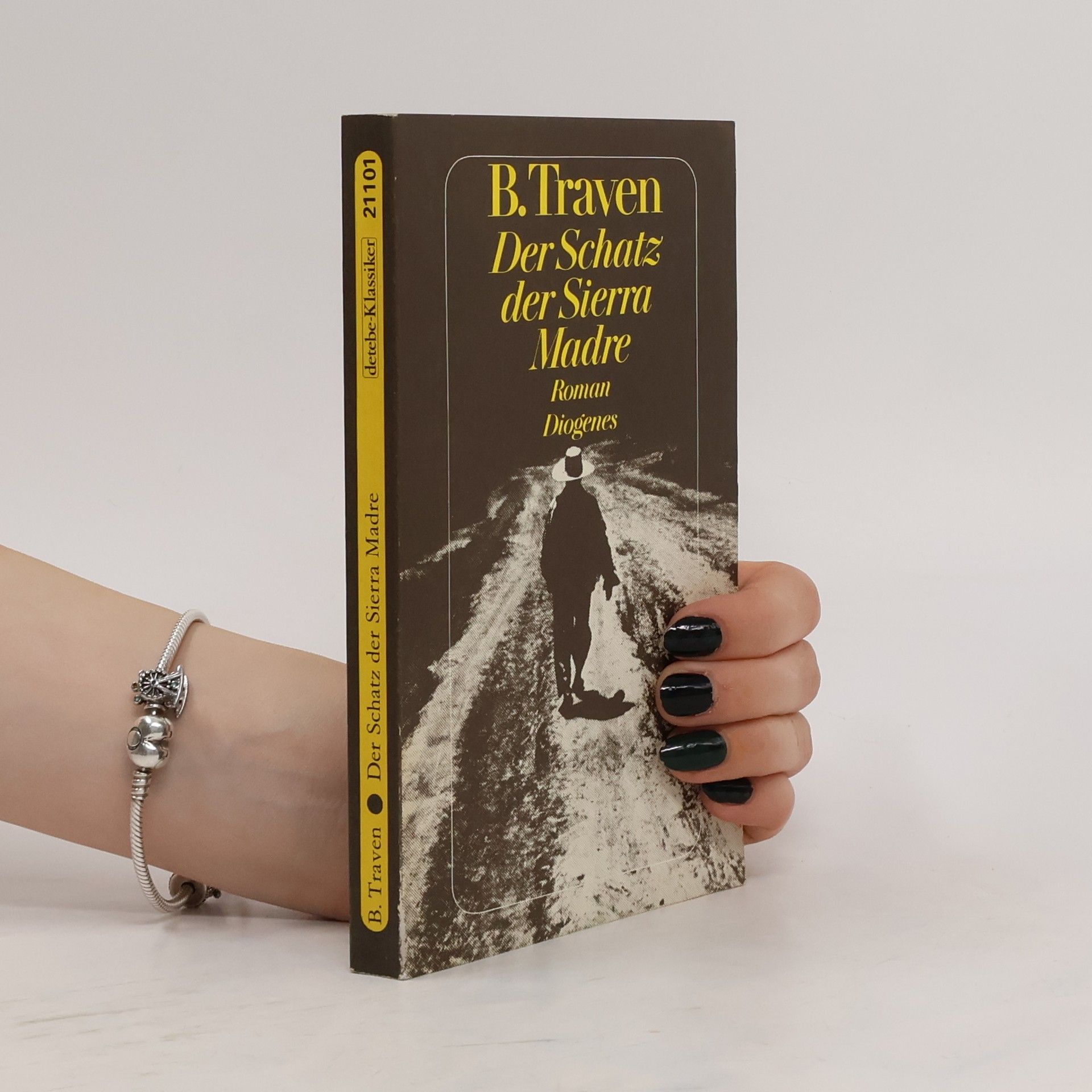B. Traven Der Schatz der Sierra Madre