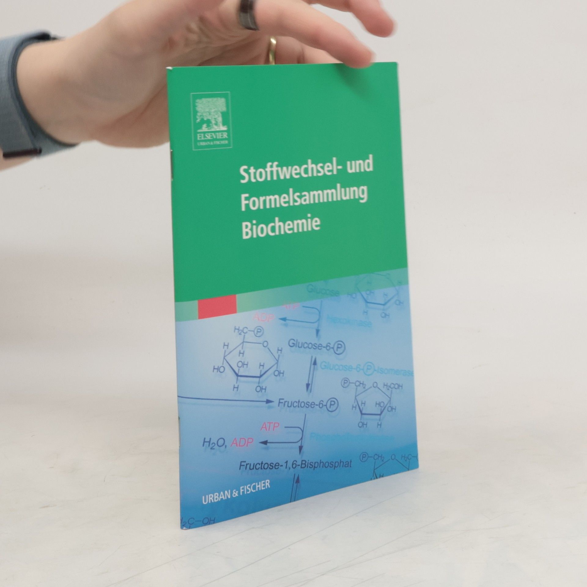 kolektiv Stoffwechsel- und Formelsammlung Biochemie
