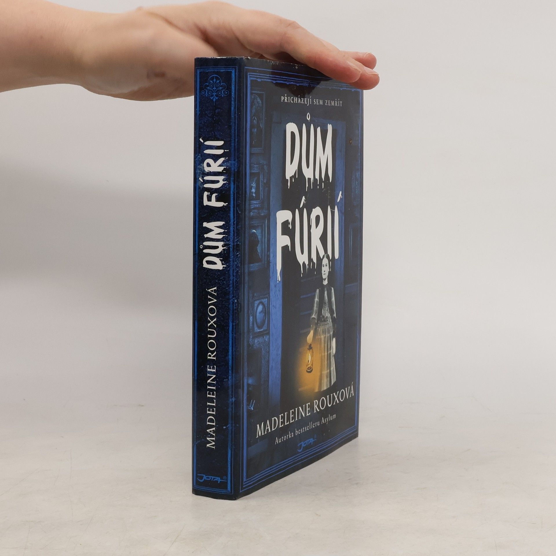 Madeleine Roux Dům fúrií