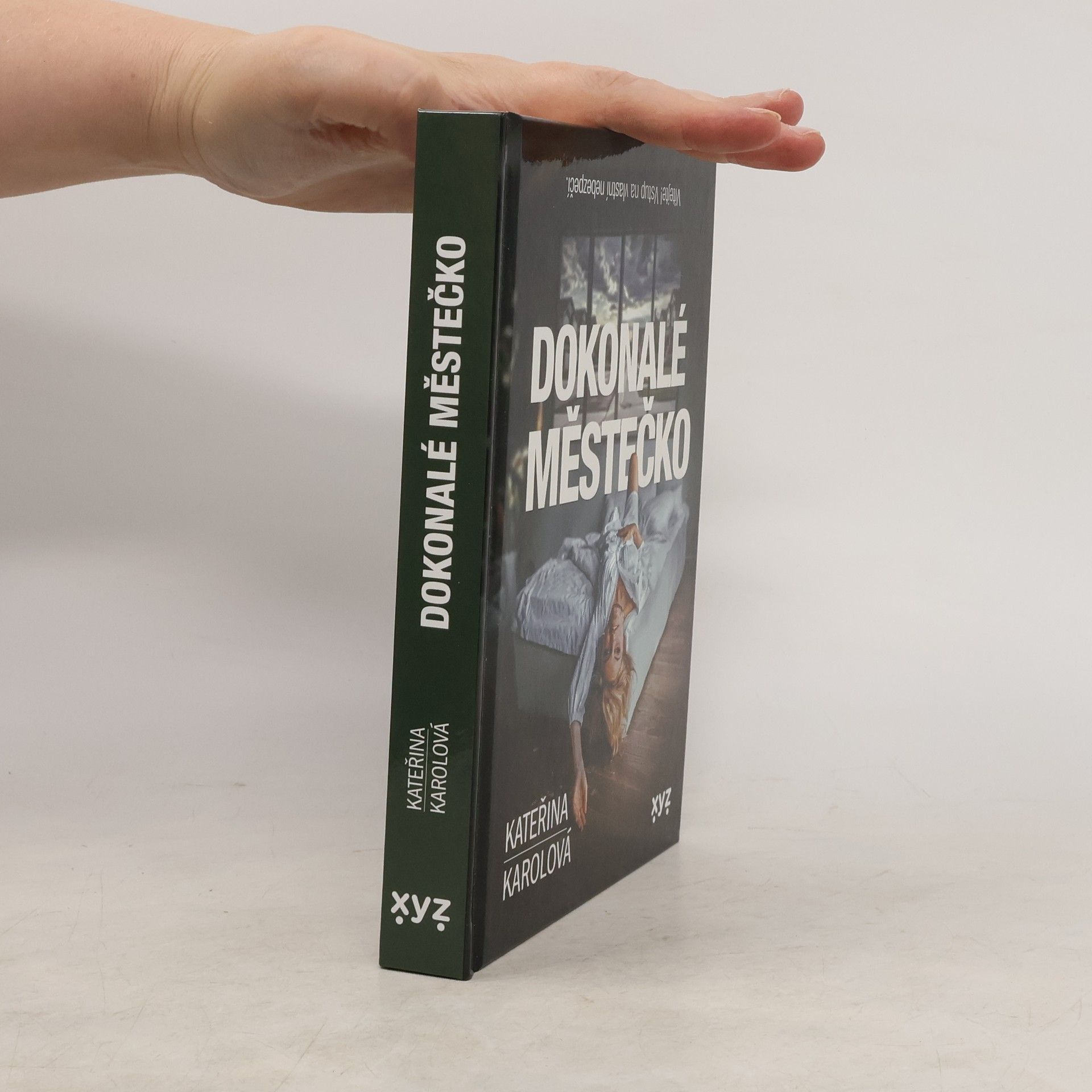 Kateřina Karolová Dokonalé městečko