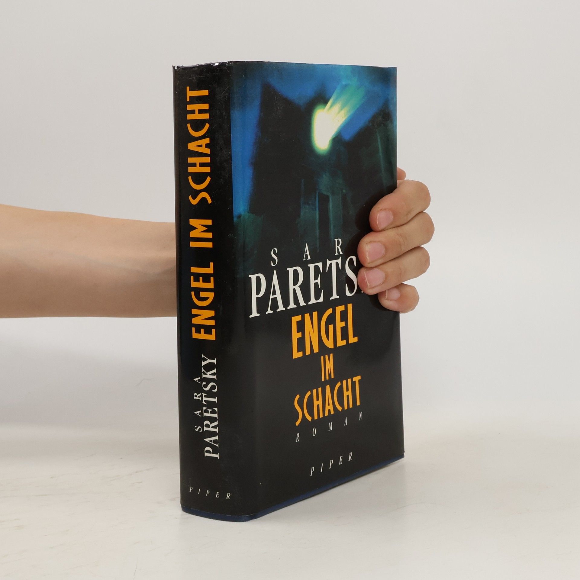 Sara Paretsky Engel im Schacht
